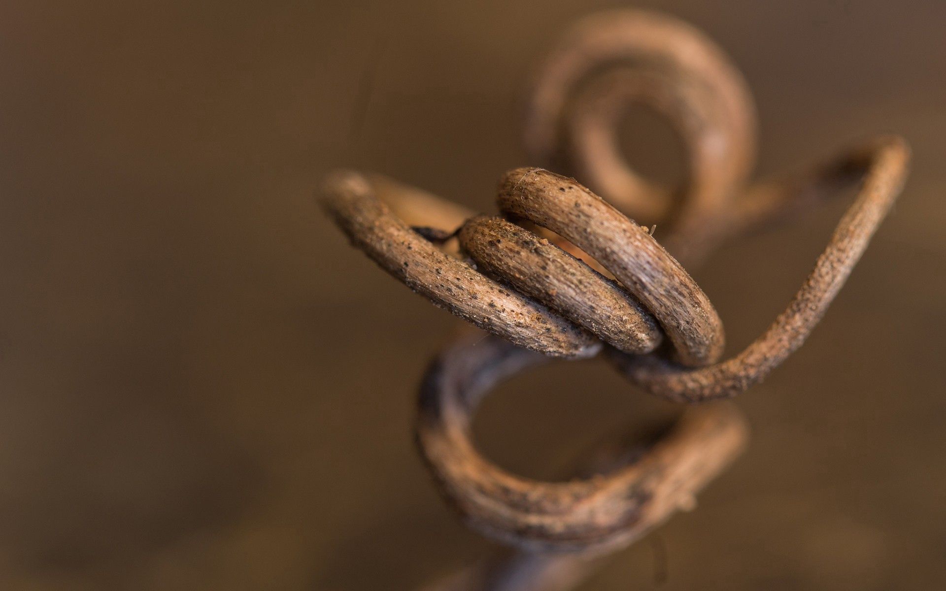 Download mobile wallpaper Hook, Twisted, Macro, Metal for free.