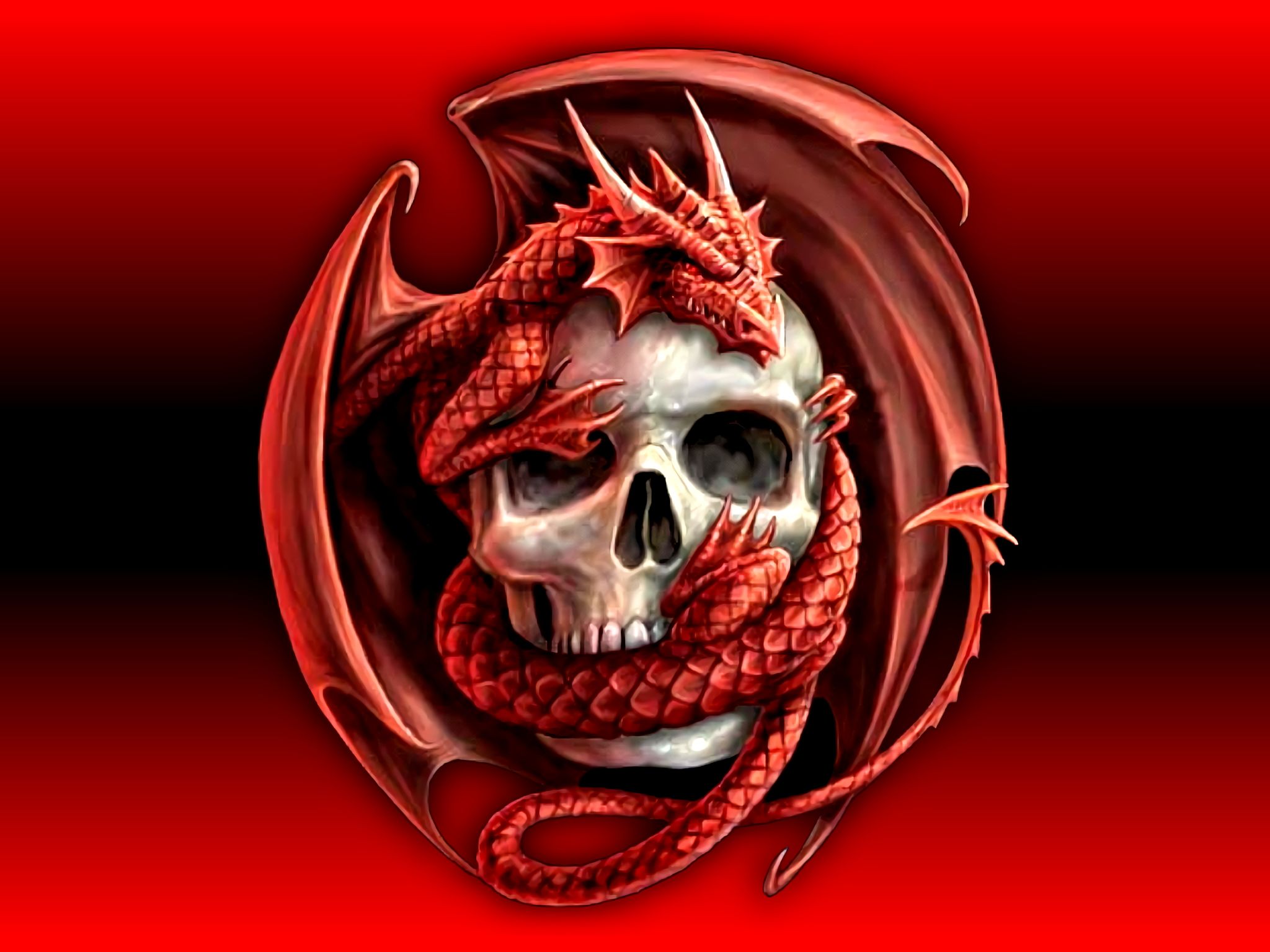 skull, dragon, dark Full HD