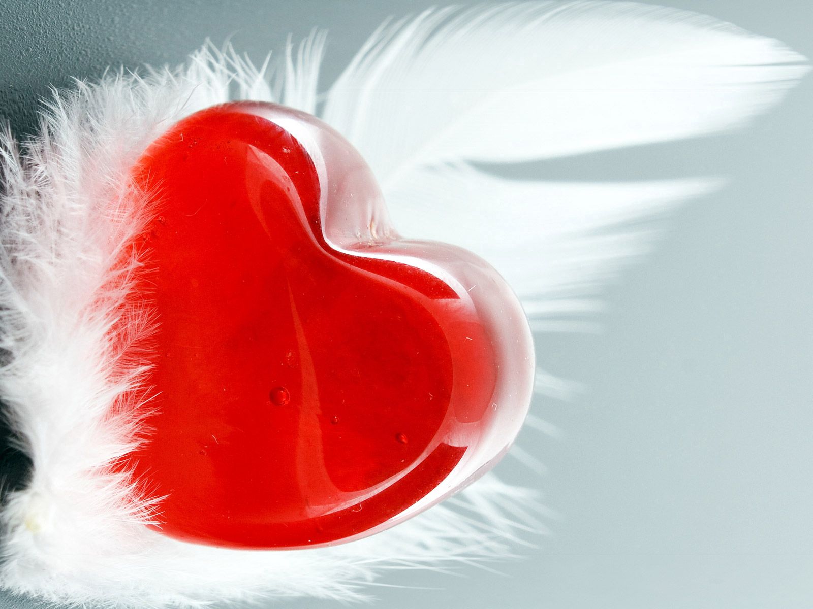 140138 免費下載壁紙 心, 爱, 羽毛, 红色, 红色的, 一个心脏, 钢笔 屏保和圖片