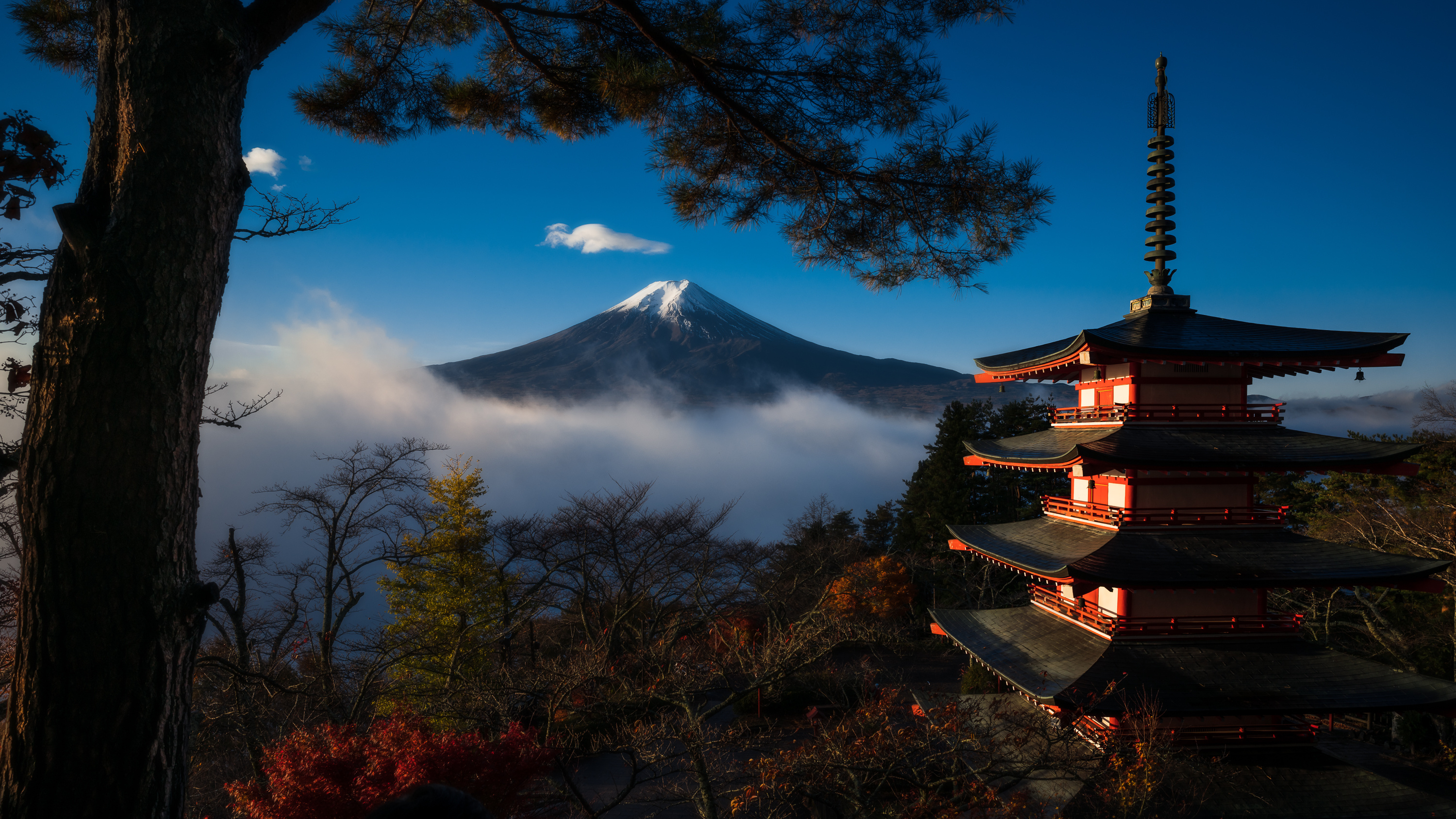 Киото гора Фудзияма