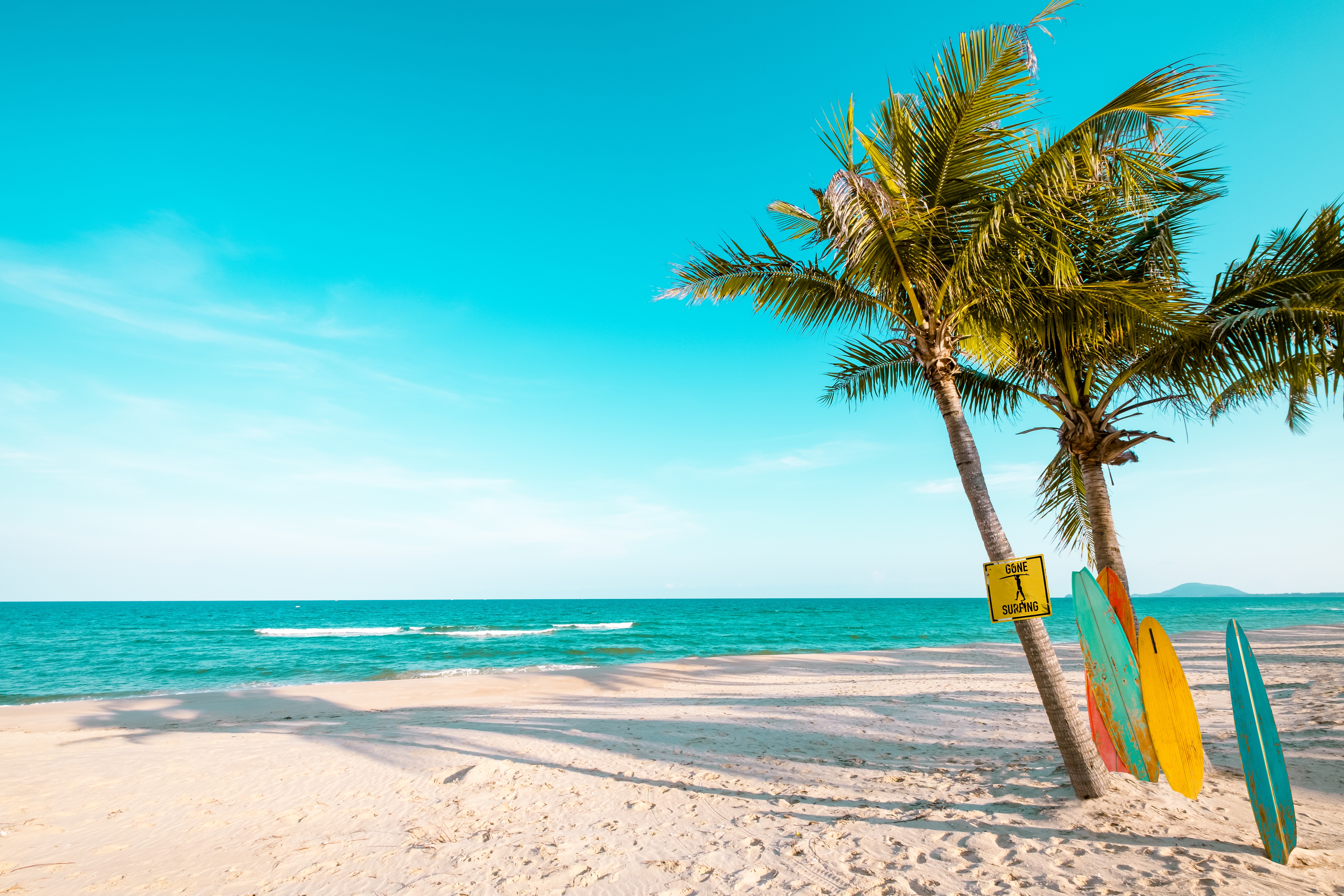 photography, beach, horizon, palm tree, sand, sea, sky, summer, surfboard