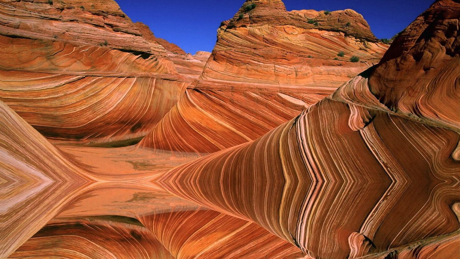Каменная волна США Колорадо