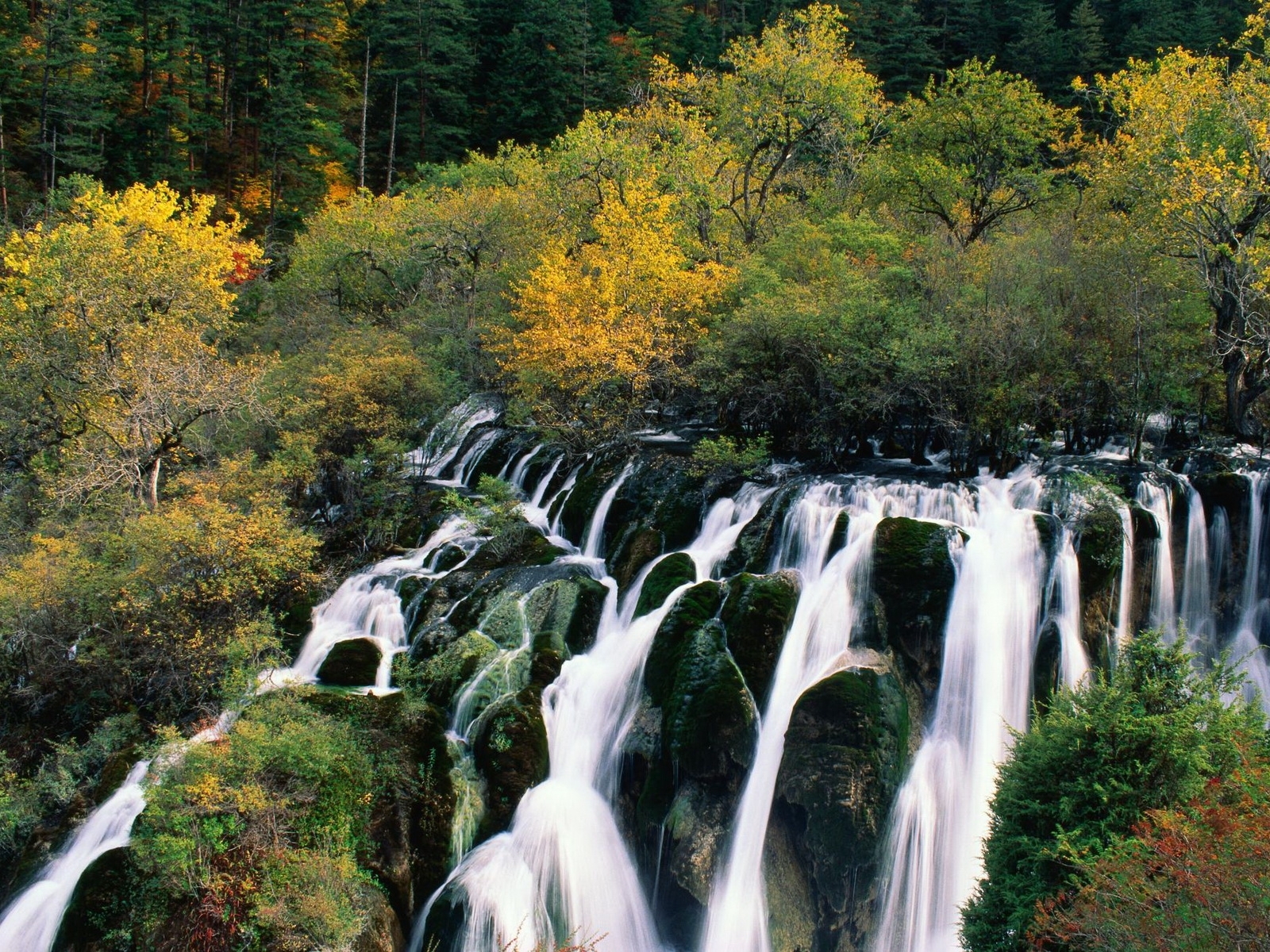 Laden Sie das Landschaft, Bäume, Wasserfälle-Bild kostenlos auf Ihren PC-Desktop herunter