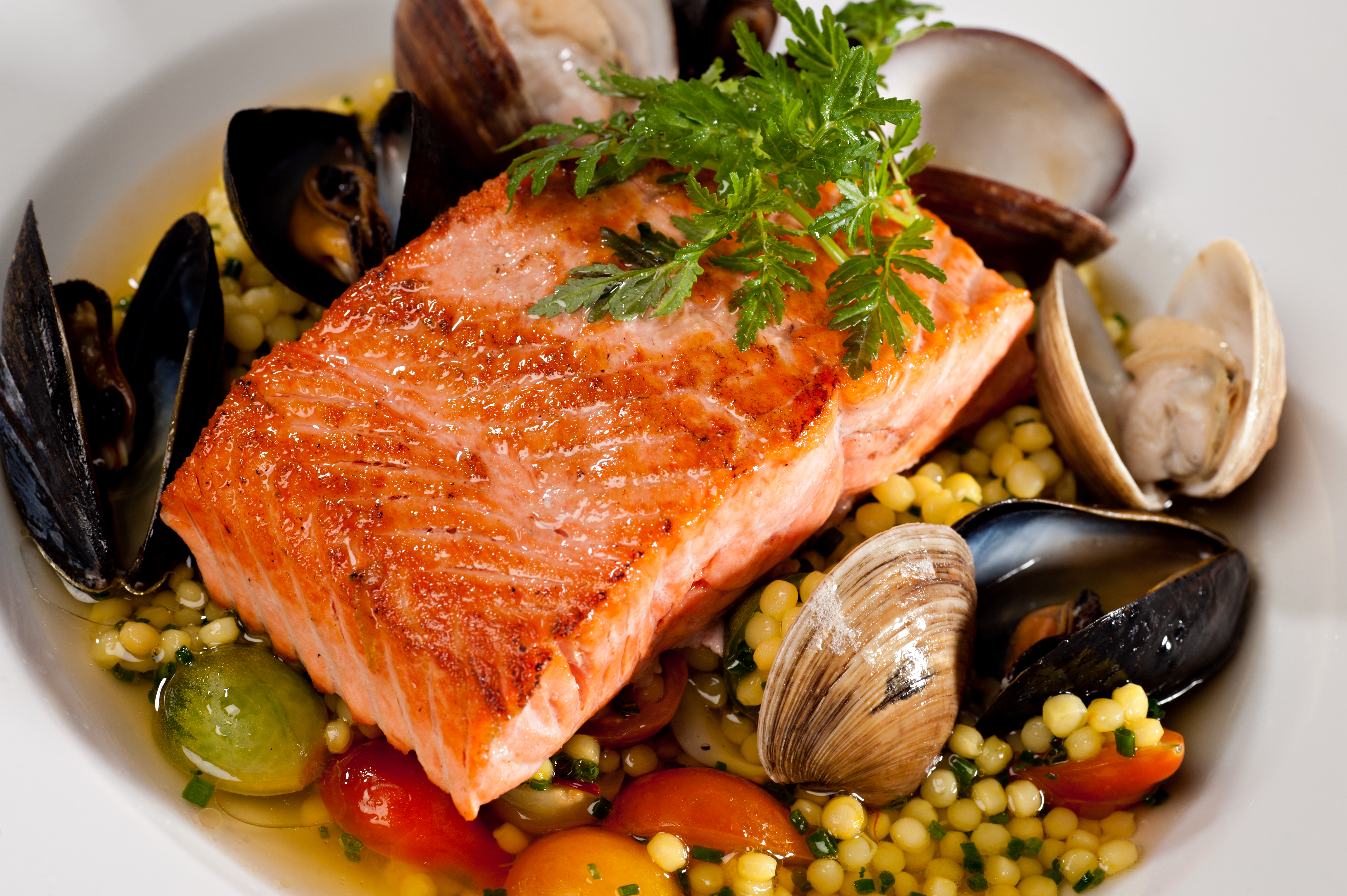 Free Images  Seafood