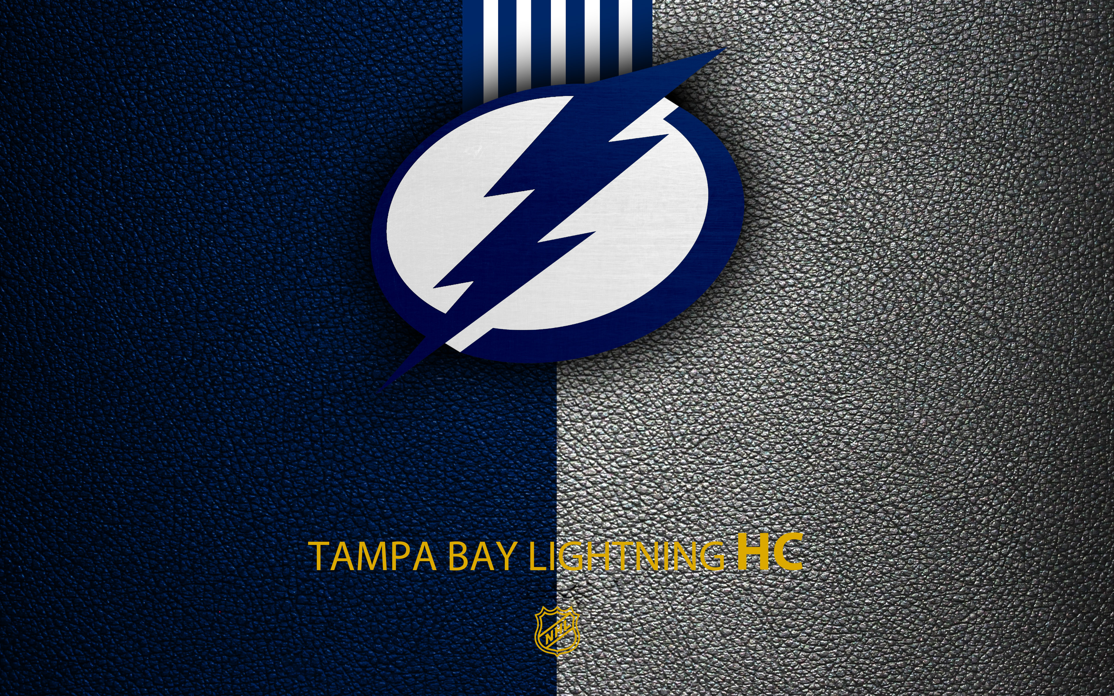 Free download Tampa Bay Lightning iPhone Wallpaper HD for Desktop, Mobile &  Tablet. [640x960]. …