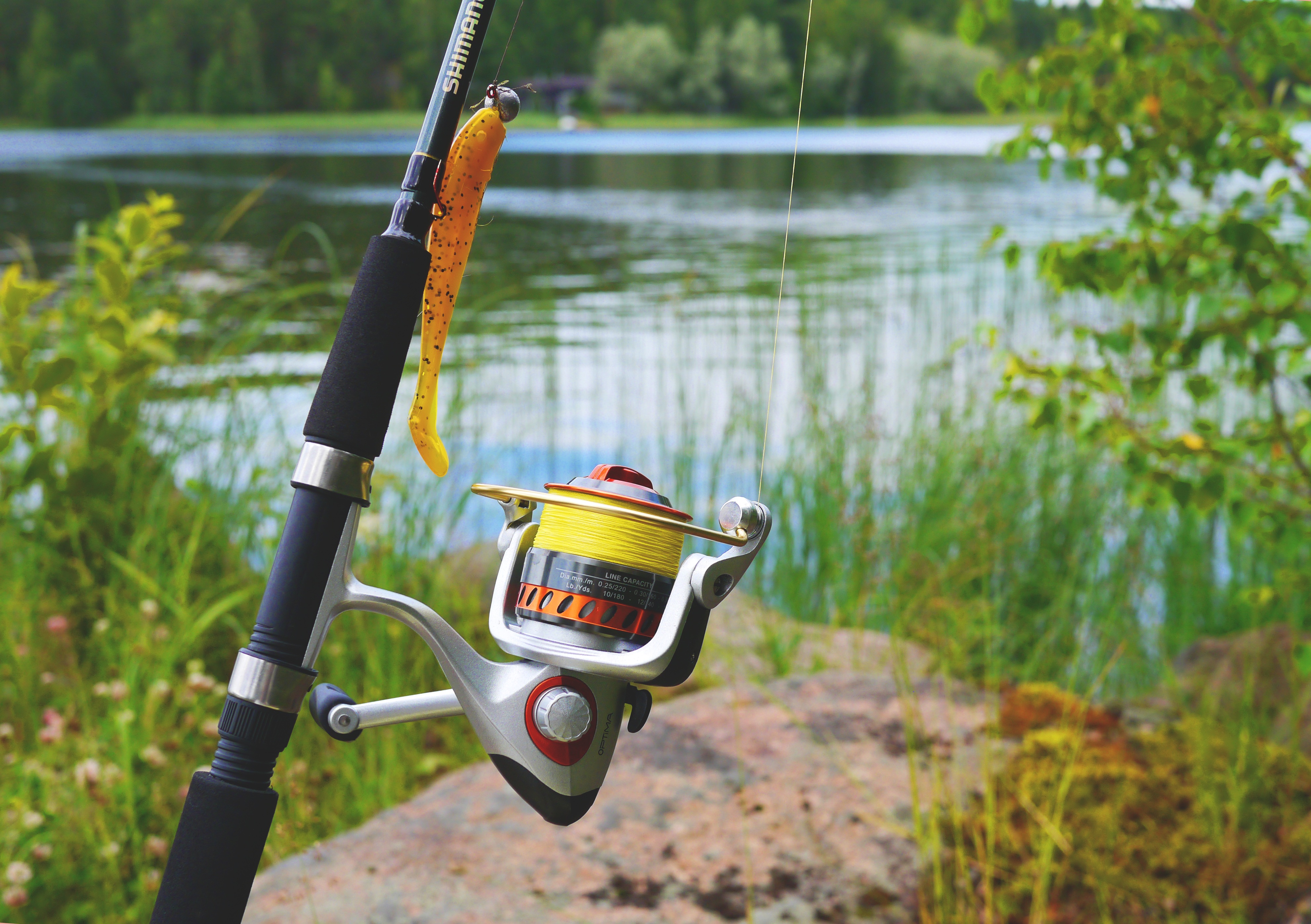 fishing, sports, fishing rod