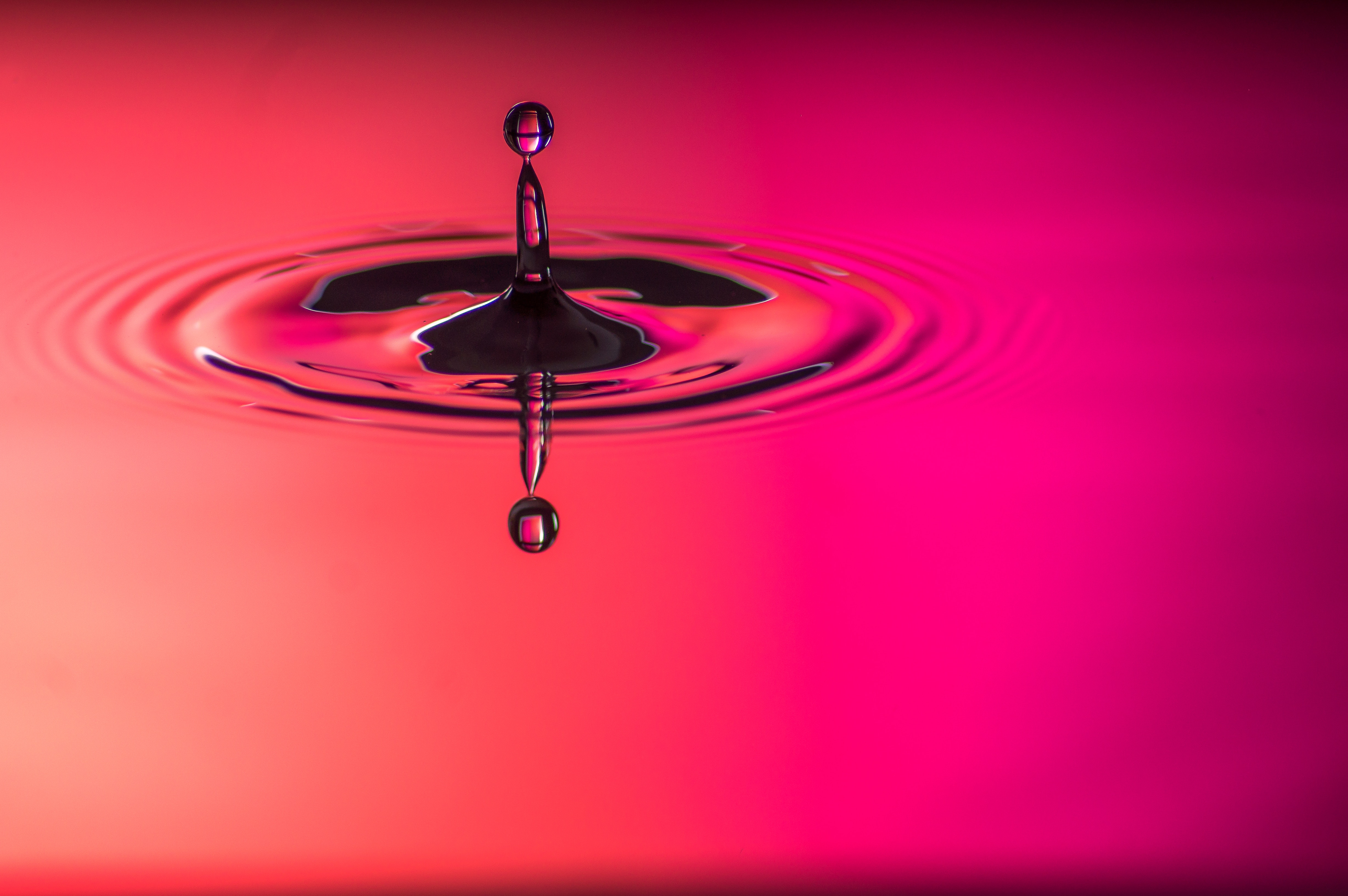 drop, pink, macro, circles, spray HD wallpaper