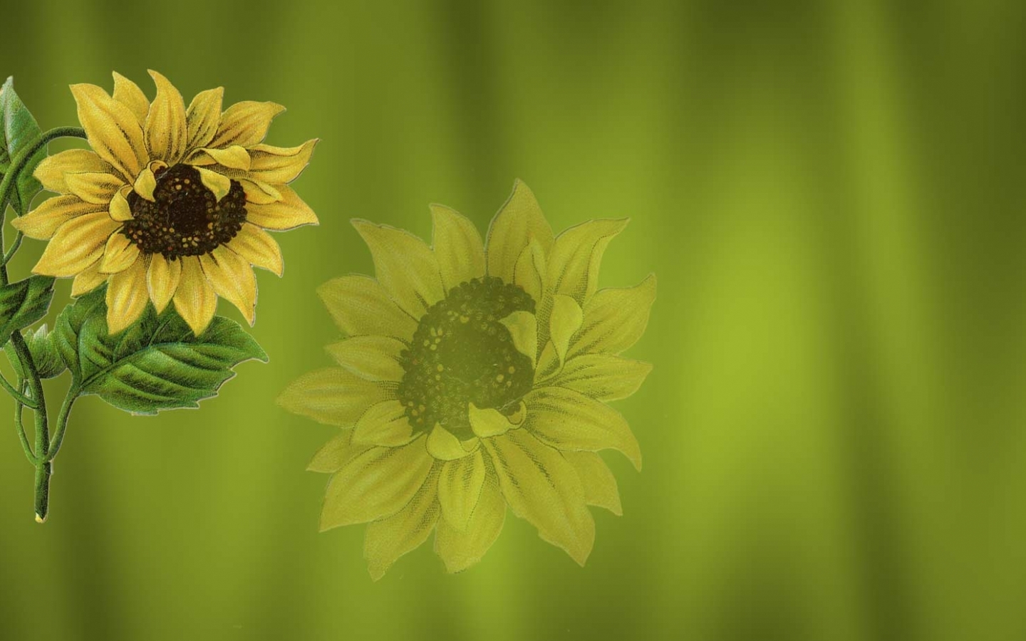Laden Sie das Blumen, Bilder, Sonnenblumen-Bild kostenlos auf Ihren PC-Desktop herunter