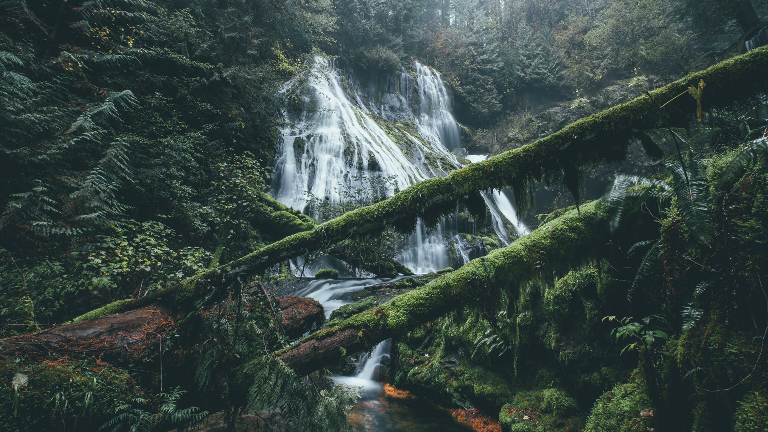 Водопады в густом лесу