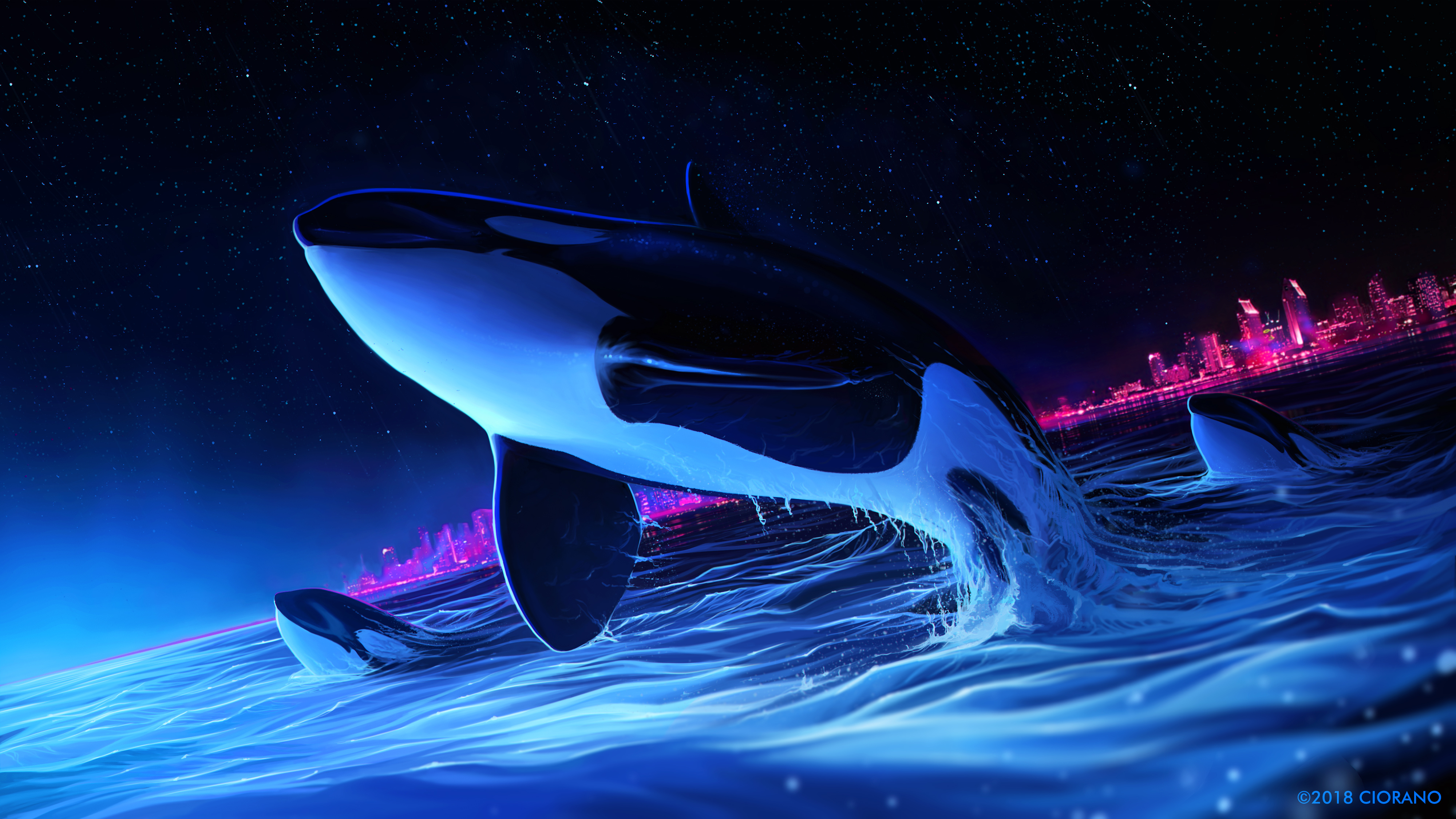 Orca кит