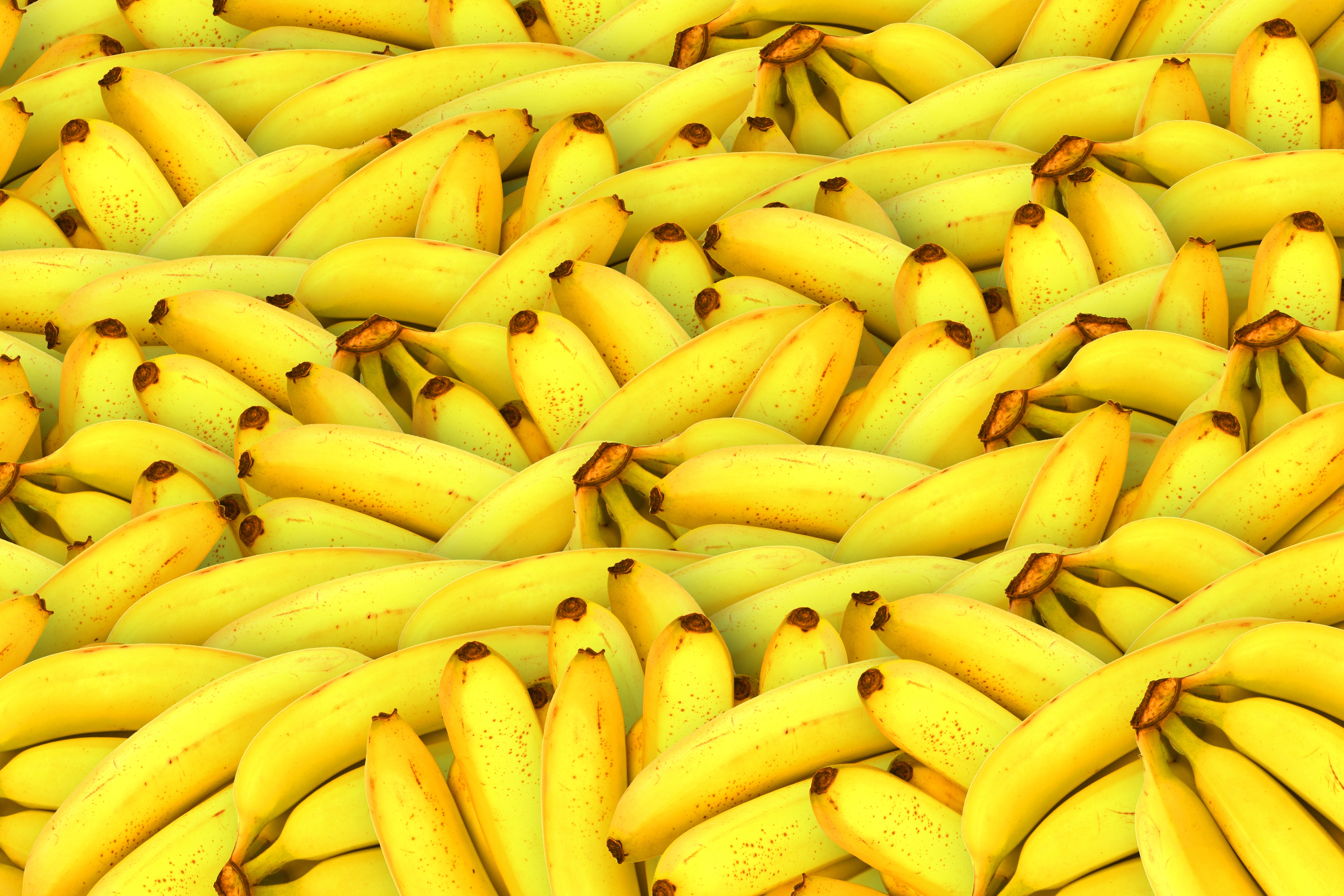 53001 descargar imagen frutas, comida, plátanos, amarillo: fondos de pantalla y protectores de pantalla gratis