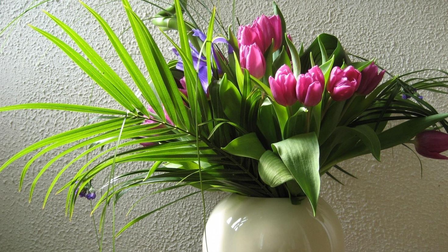 Цветочные композиции из тюльпанов и комнатных растений