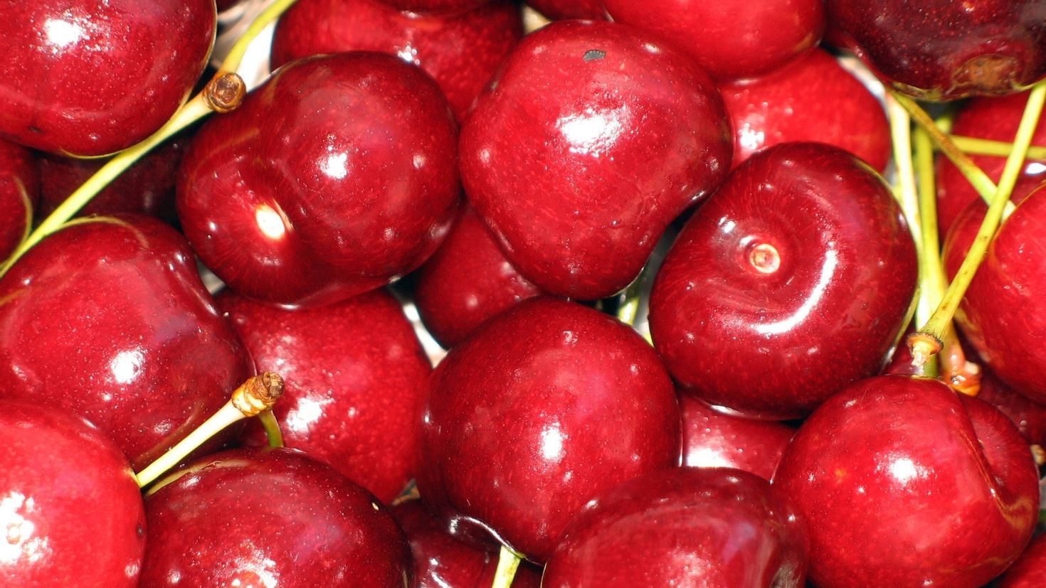 Sweet cherry. Черешня. Фрукты черешня. Гуттнера Червона черешня. Фрухты.