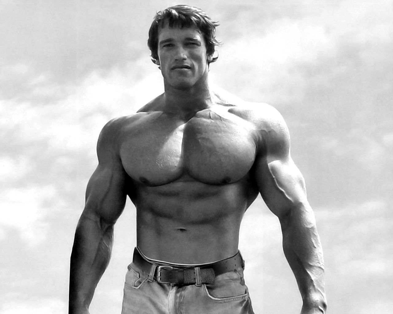 Arnold Schwarzenegger  Free Stock Photos