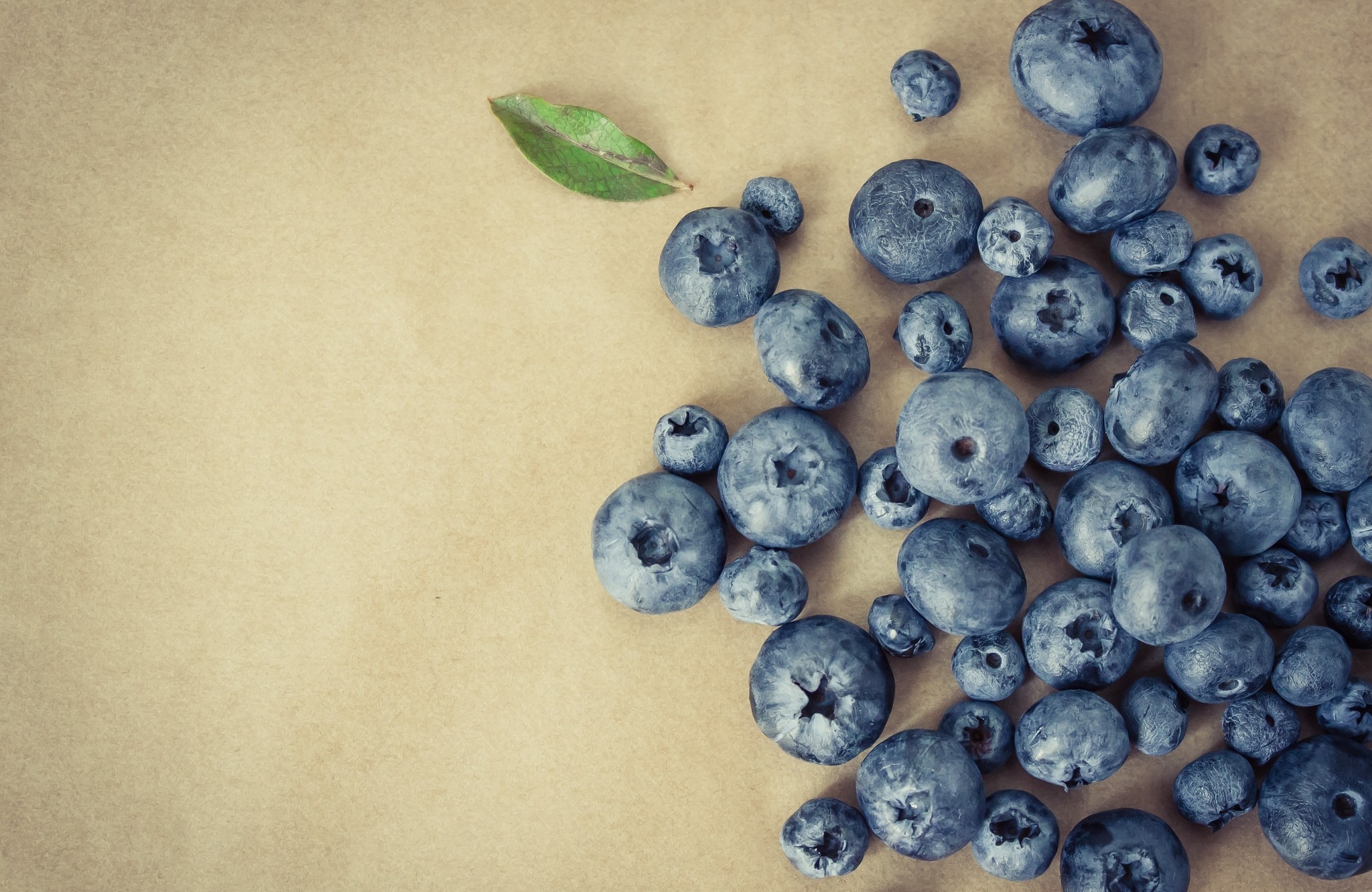 blueberry, food UHD