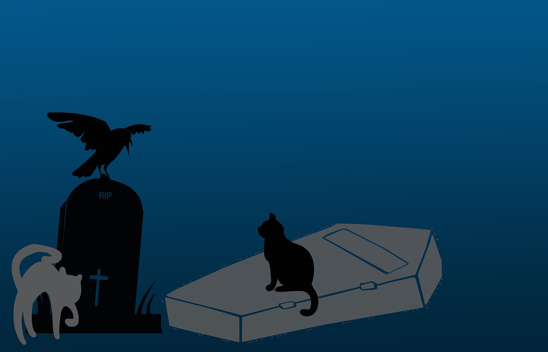 Download mobile wallpaper Halloween, Cat, Holiday, Raven, Grave for free.