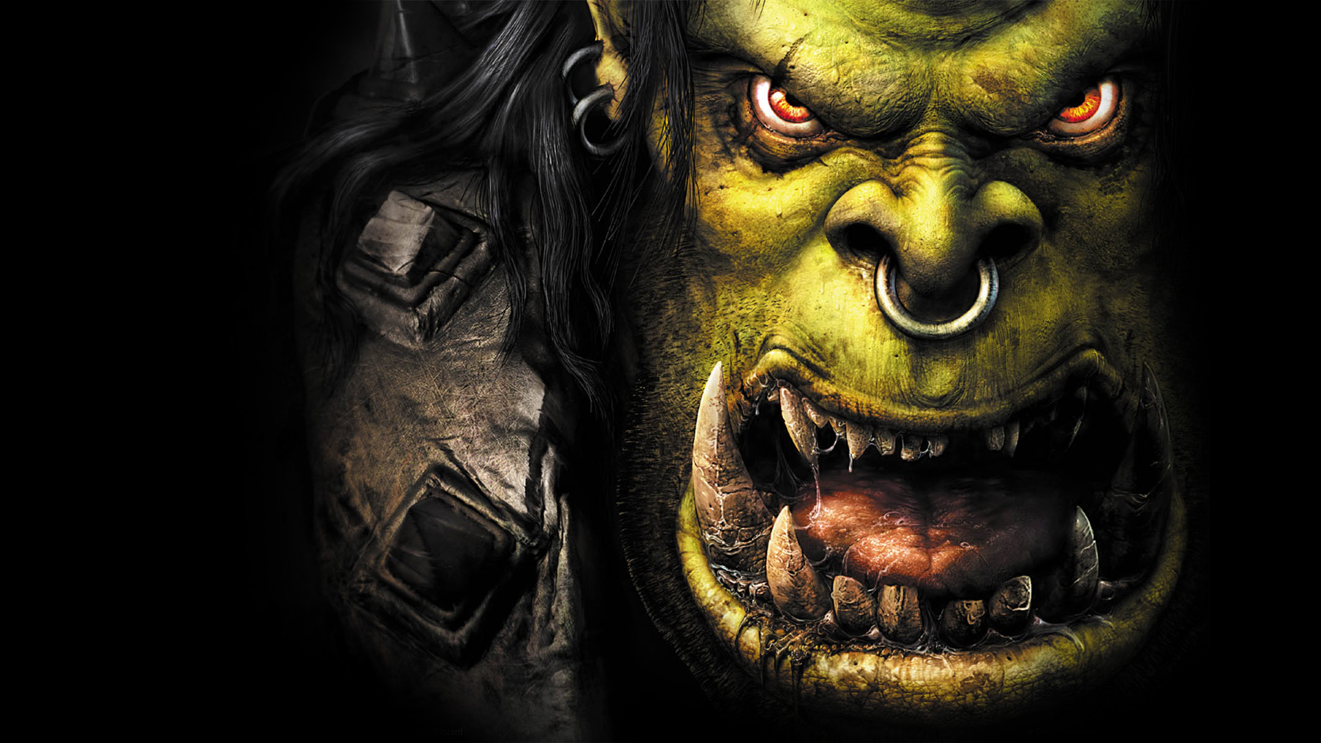 Warcraft iii reign of chaos steam фото 1