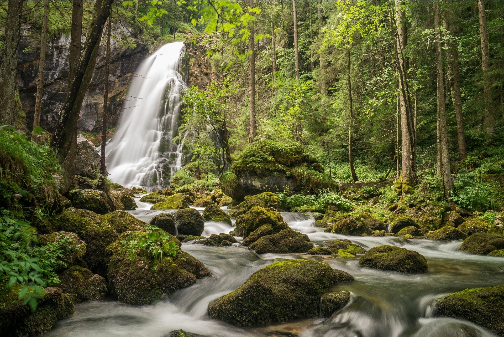 Водопад в Лесной местности