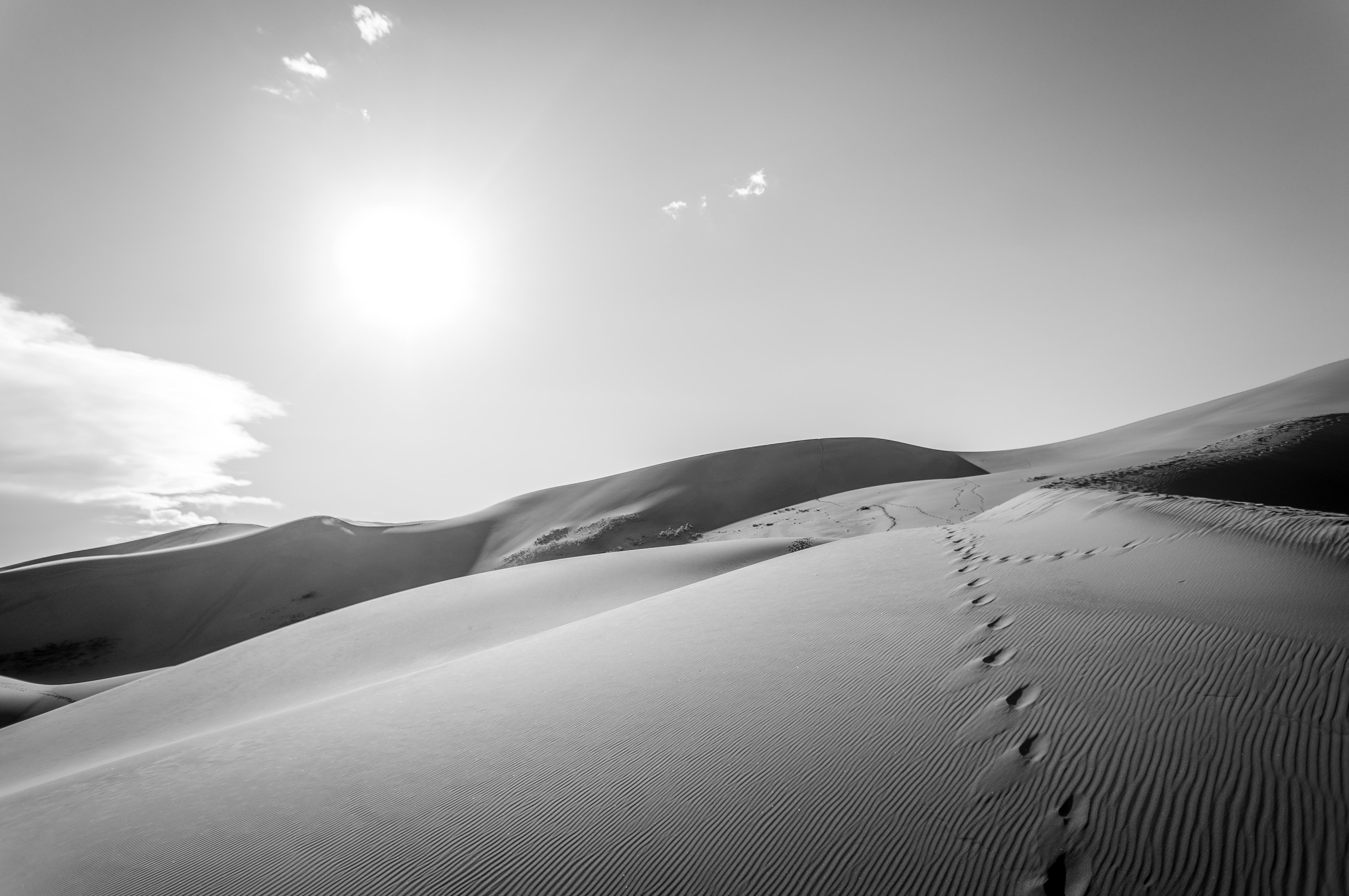 HD wallpaper earth, desert, black & white, dune, footprint, sand