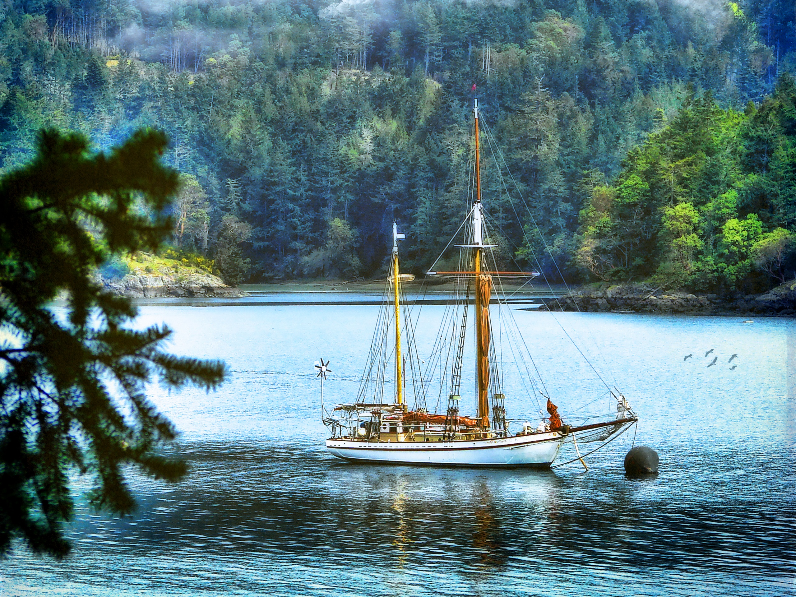 169750 Bild herunterladen wald, fotografie, hdr, boot, grün, see, segelboot - Hintergrundbilder und Bildschirmschoner kostenlos
