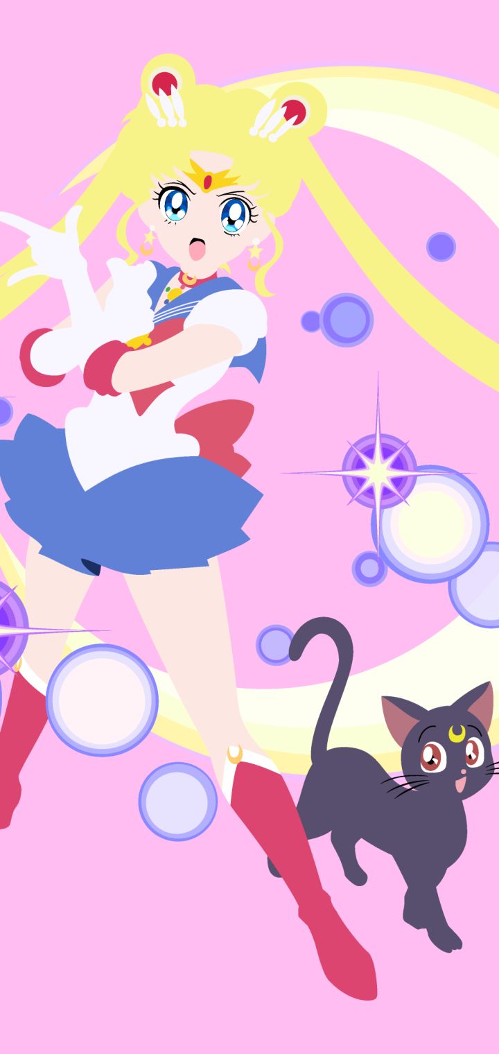 sailor moon and luna  Sailor Moon  Anime Background Wallpapers on Desktop  Nexus Image 2552766