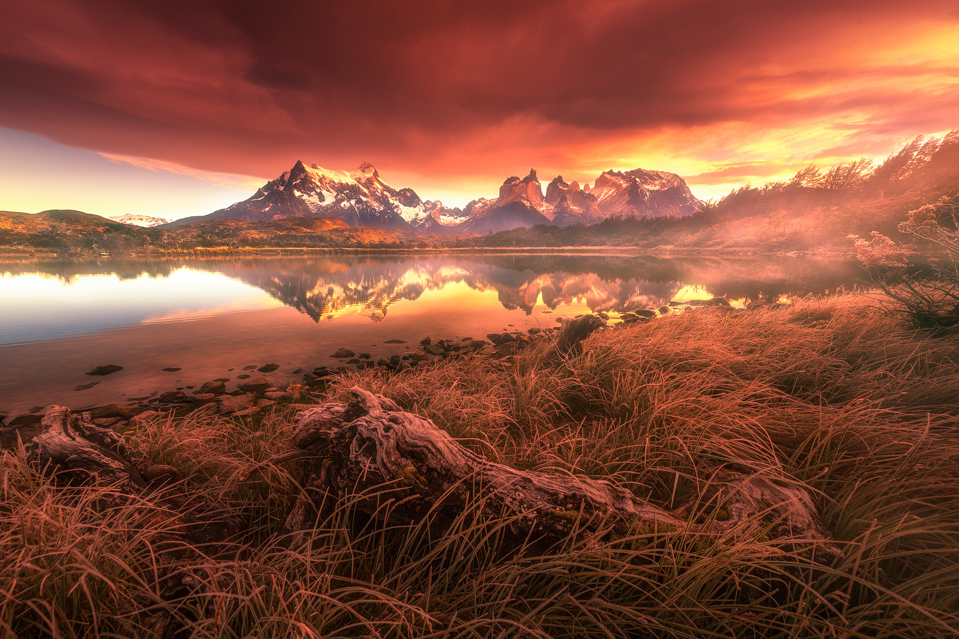 earth, torres del paine, chile, cloud, grass, lake, landscape, nature, patagonia, reflection, mountains
