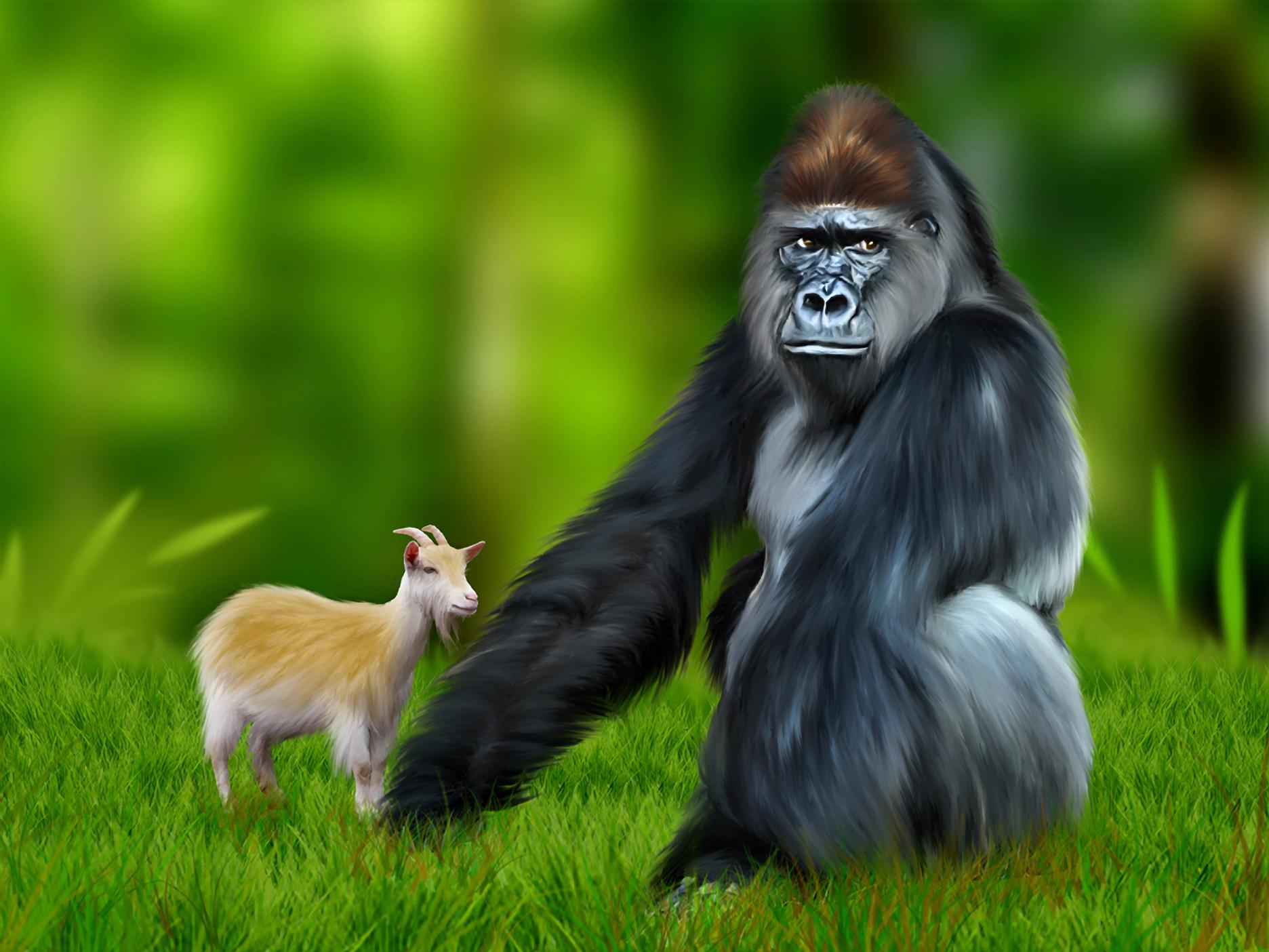 384206 скачать картинку животные, горилла, коза, обезьяны - обои и заставки бесплатно