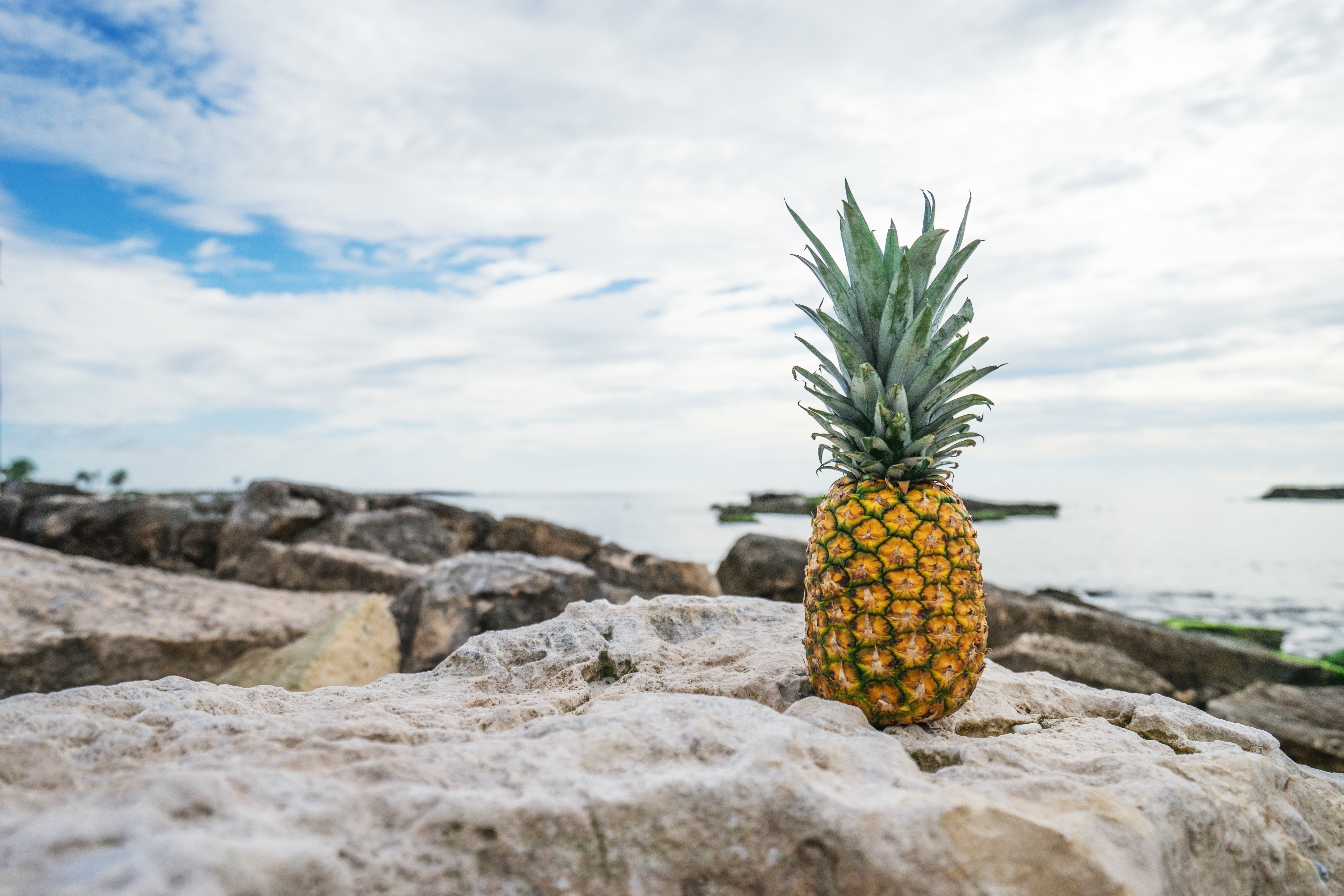121084 Bild herunterladen lebensmittel, stones, strand, ananas, eine ananas - Hintergrundbilder und Bildschirmschoner kostenlos