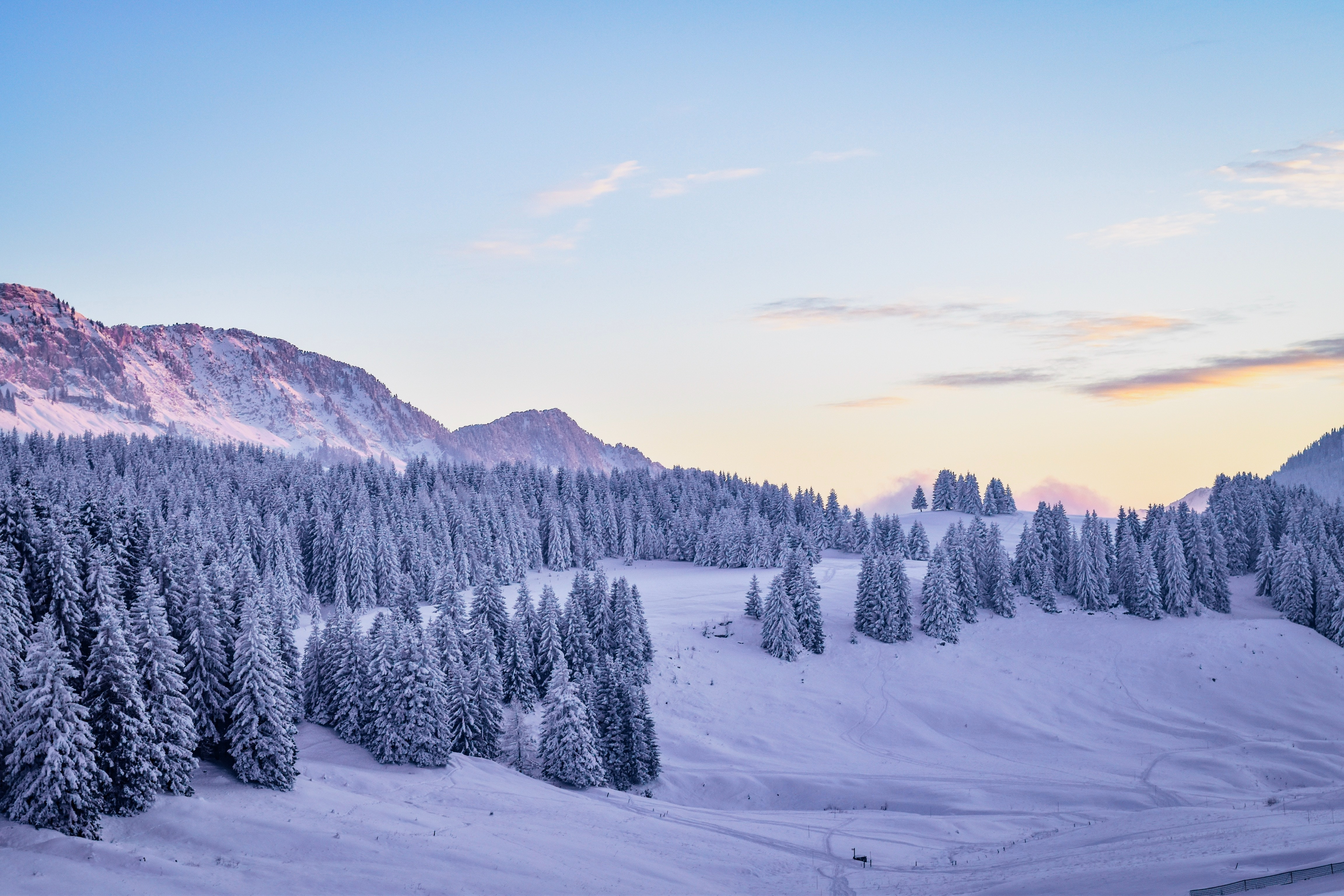 Laden Sie das Schneebedeckt, Snowbound, Natur, Schnee, Tannenbaum, Winter-Bild kostenlos auf Ihren PC-Desktop herunter