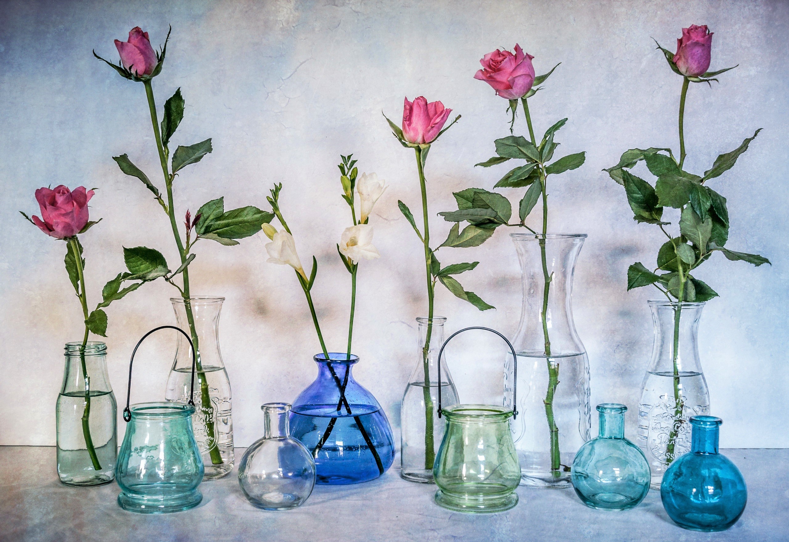 Стеклянная ваза с цветами натюрморт
