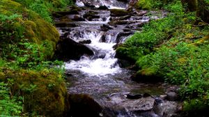 85448 Обои и Водопад картинки на рабочий стол. Скачать заставки на ПК бесплатно