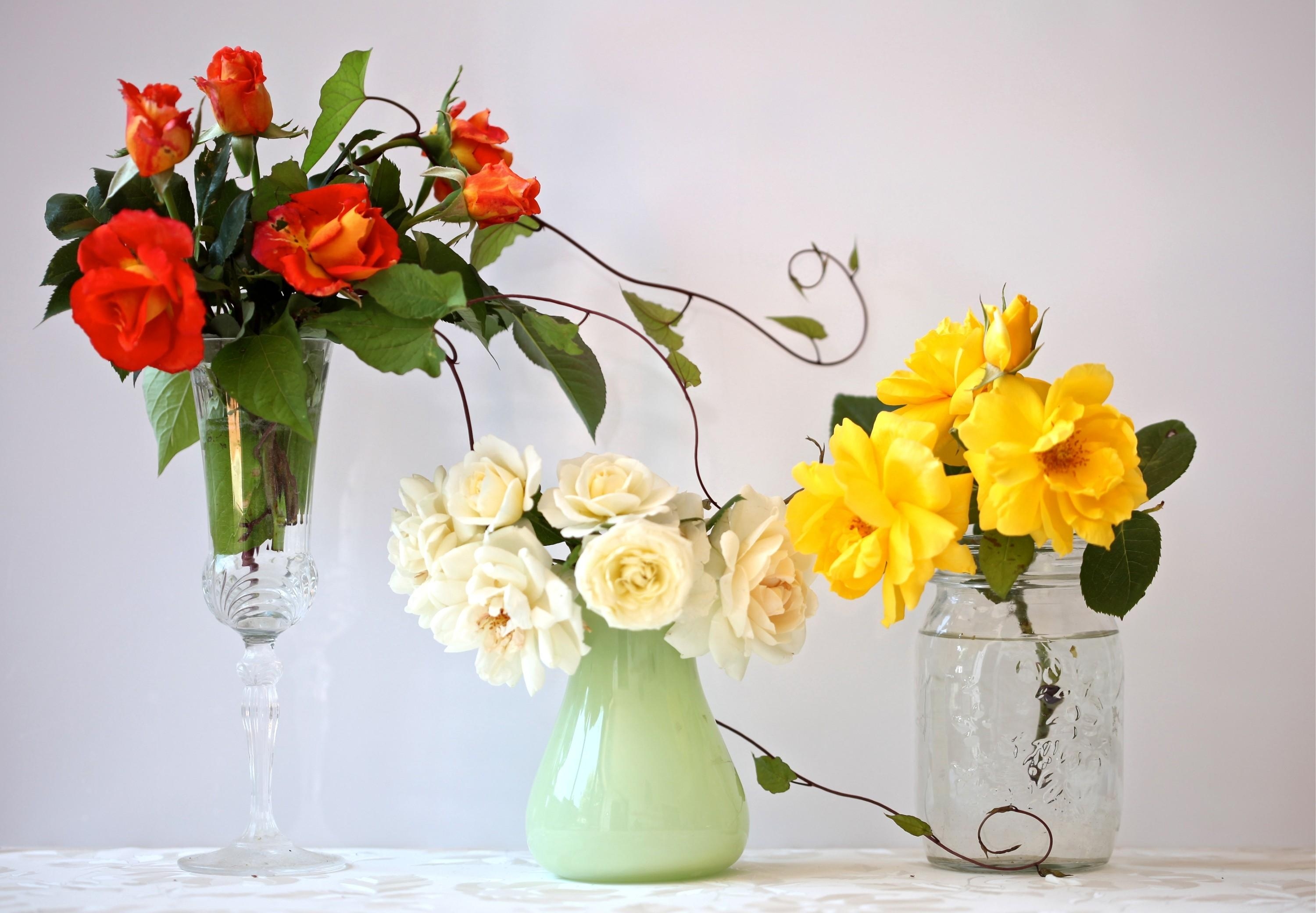 bouquets, flowers, roses, three, fougere, tall wine glass, different, vases Full HD