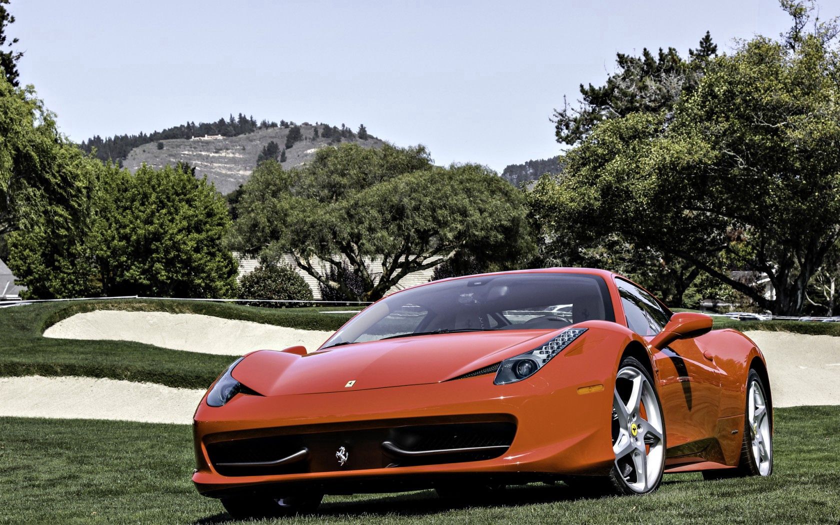 italy, trees, sky, ferrari, cars, red, field High Definition image