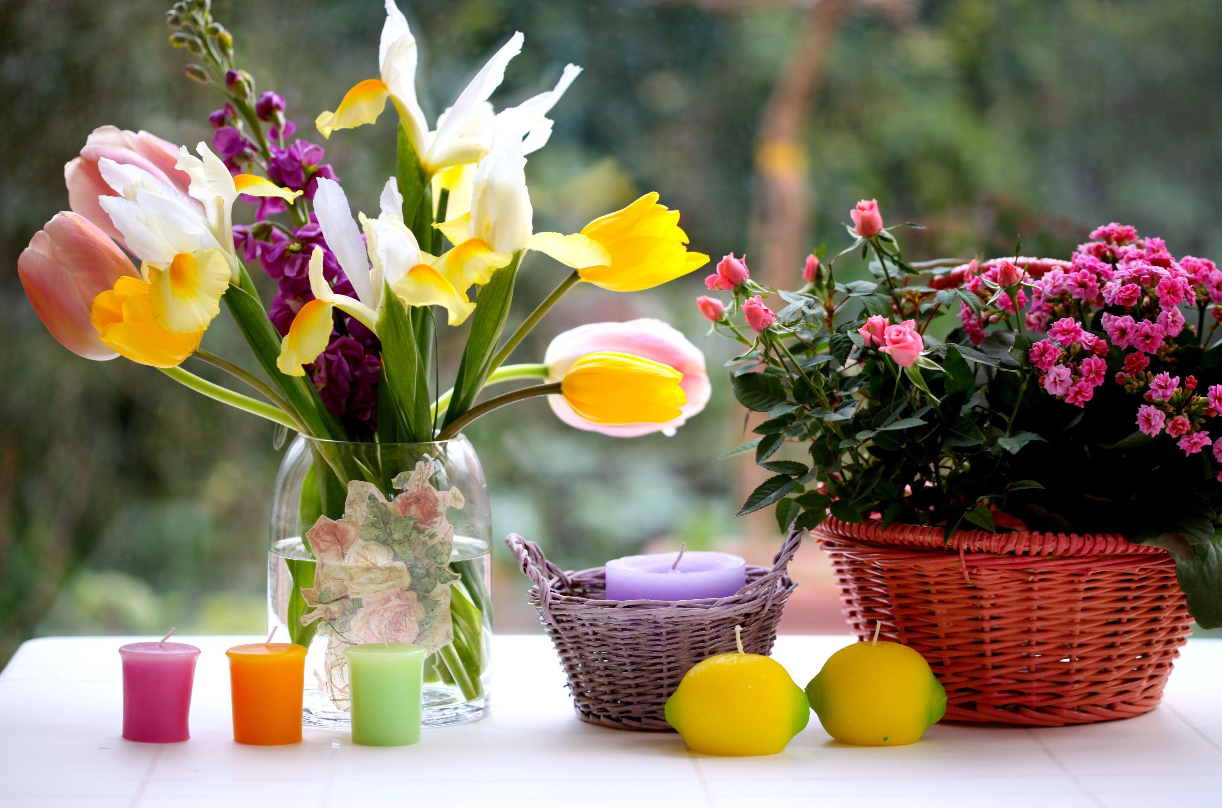 Handy-Wallpaper Schwertlilien, Irises, Vase, Blumen, Korb, Bouquets, Tulpen, Kerzen, Roses kostenlos herunterladen.