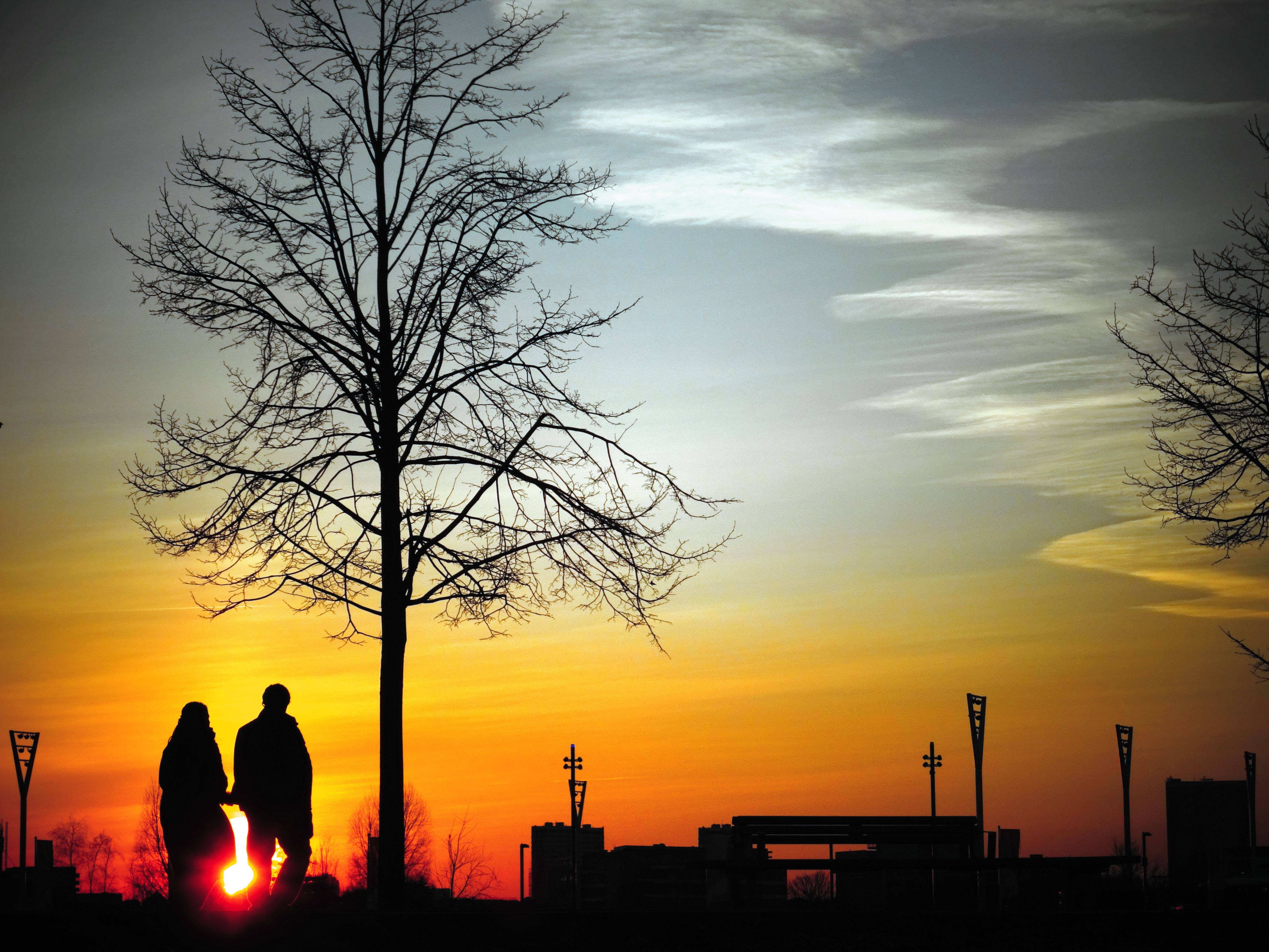 Download mobile wallpaper Wood, Tree, Stroll, Sunset, Silhouettes, Love, Couple, Pair for free.