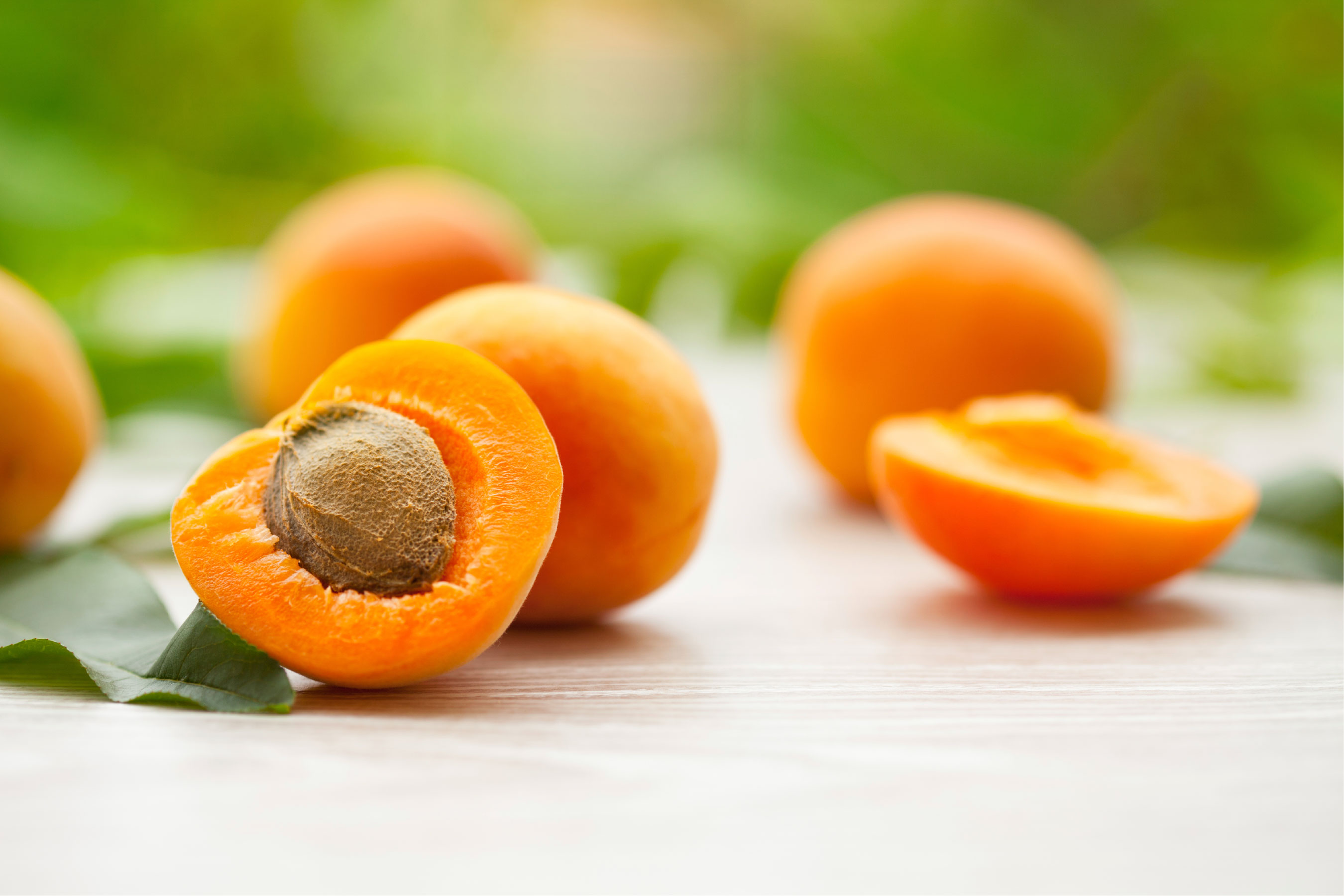 Apricots – абрикосы