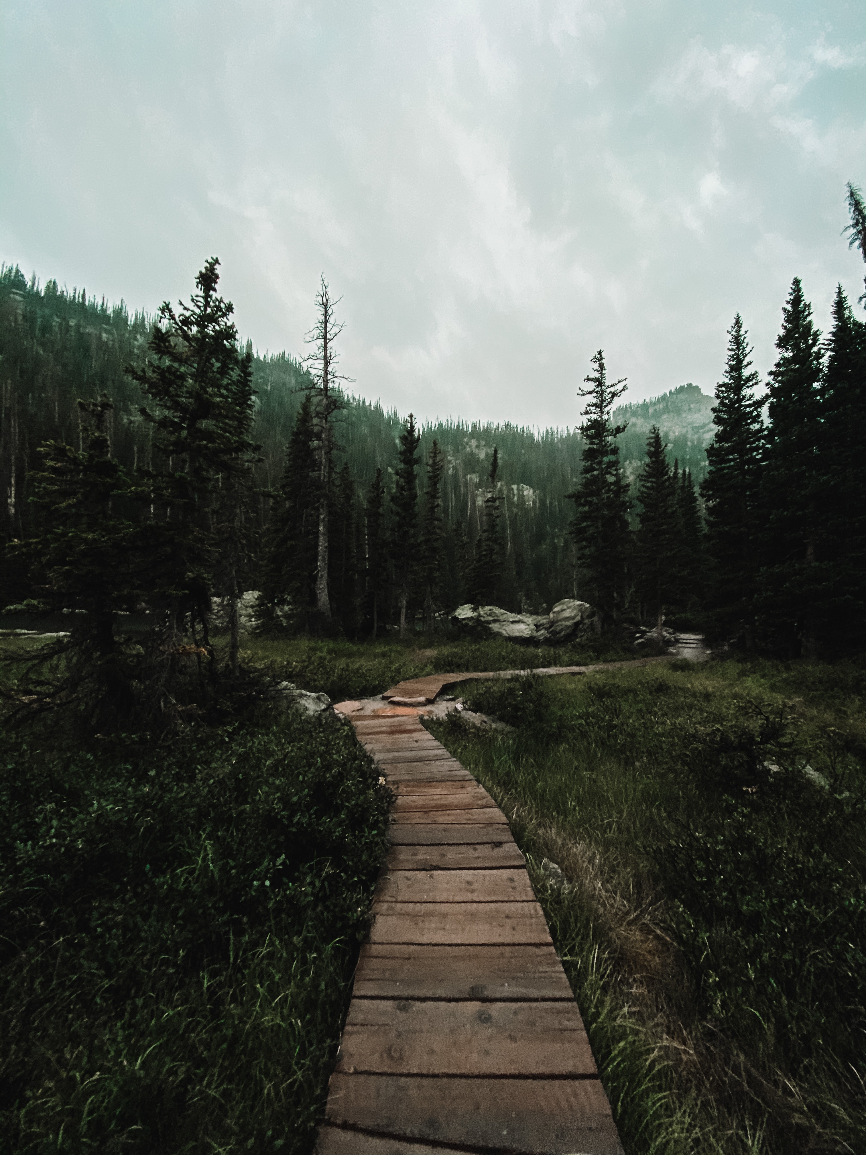 Download mobile wallpaper Path, Forest, Mountains, Nature, Landscape for free.