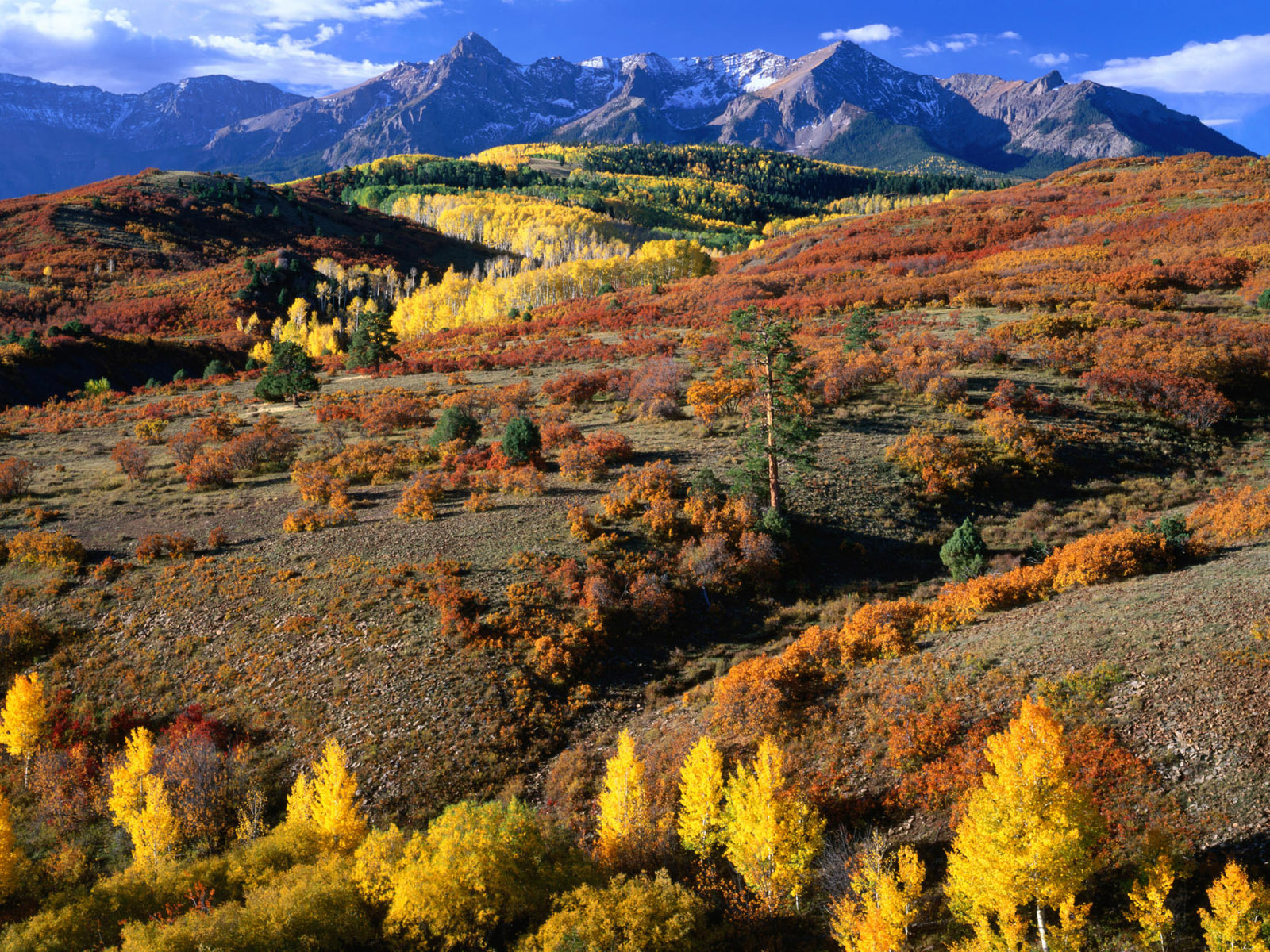 Осенняя природа штата Колорадо