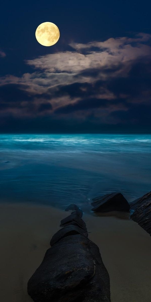 Ocean and full moon ambience by visualdon