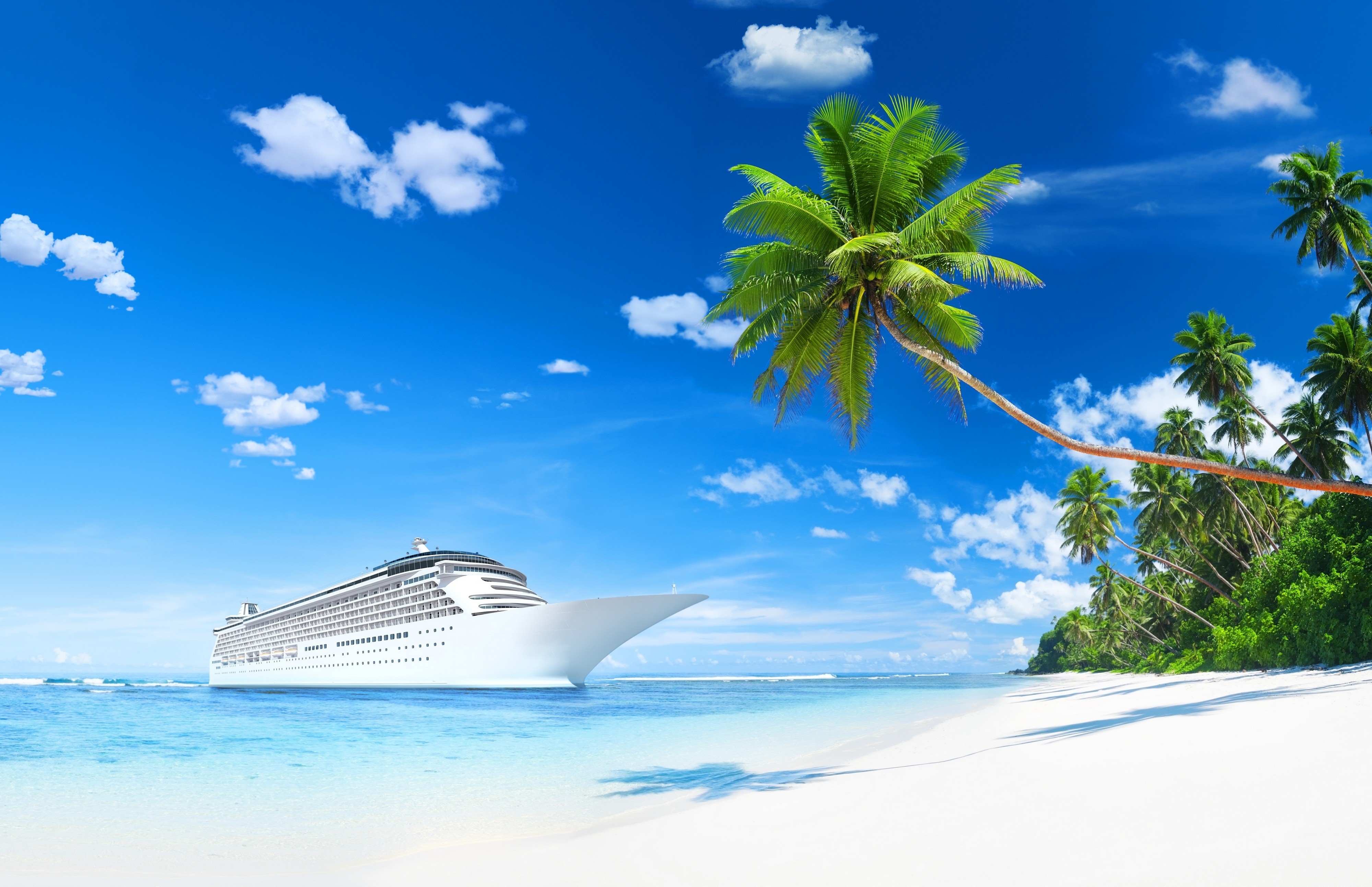 cruise ship, beach, palm tree, vehicles, tropics, cruise ships phone background