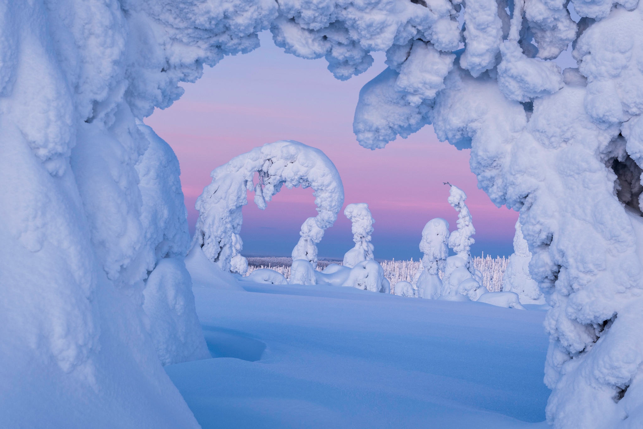 970682 Hintergrundbild herunterladen erde/natur, winter, finnland, natur, schnee, baum - Bildschirmschoner und Bilder kostenlos
