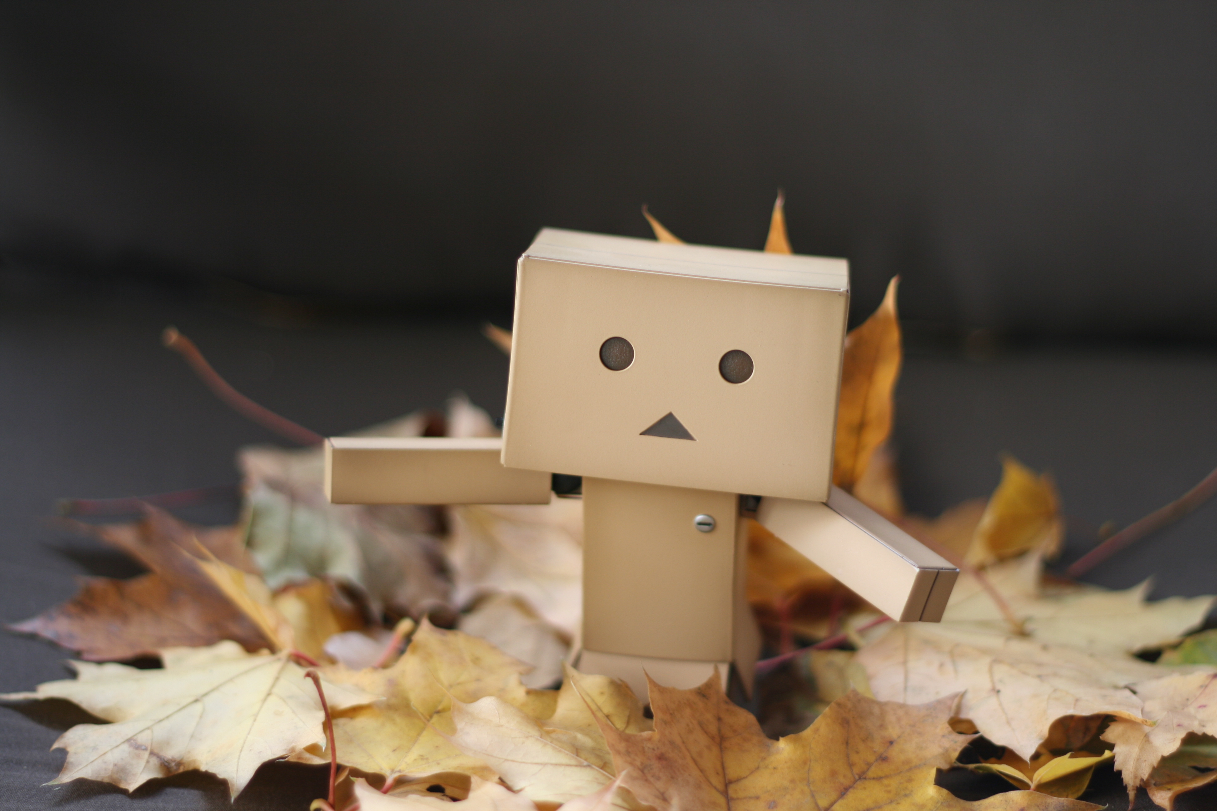 Картонный человек. Коробочка Данбо. Робот Данбо. Картонный робот Danbo. Картонный человечек.