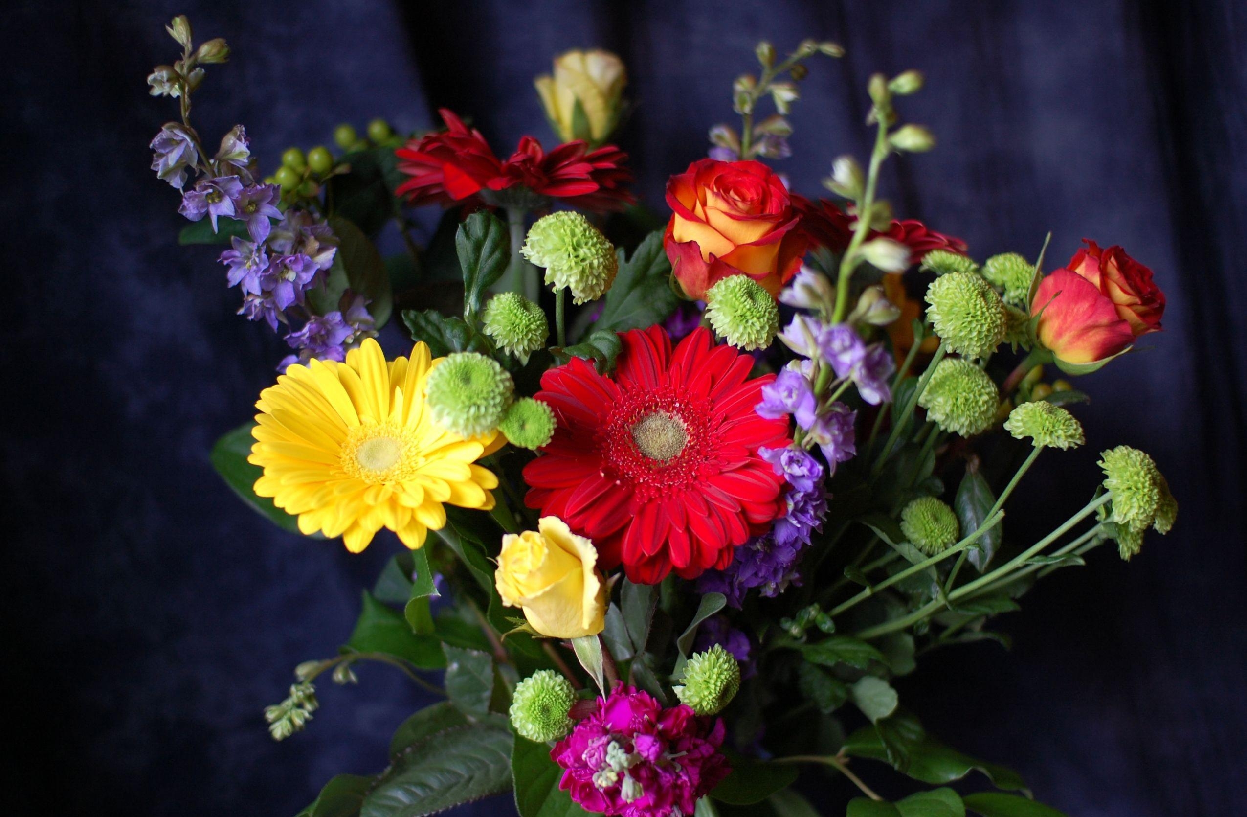 flowers, roses, chrysanthemum, gerberas, greens, bouquet, composition, levkoy, gillyflower Smartphone Background