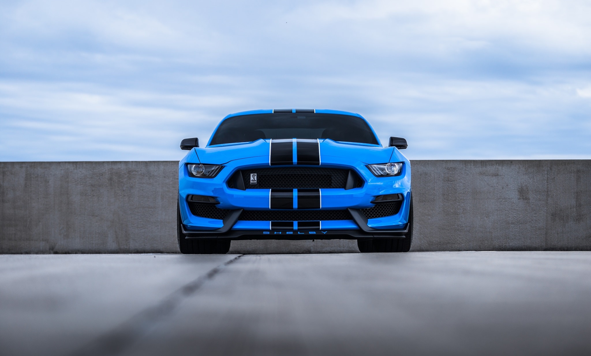 Ford Mustang Shelby 2019 голубая