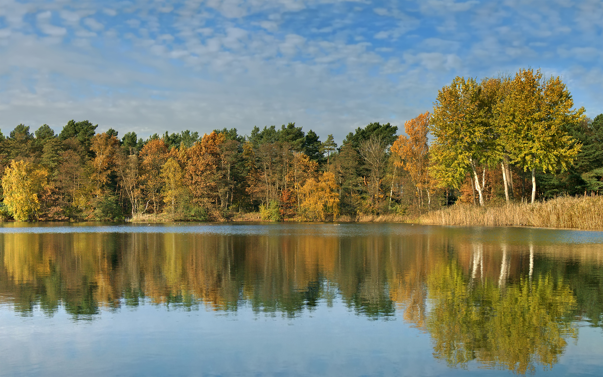 Осеннее поле озеро