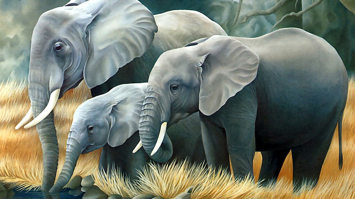 Картина по номерам слоны