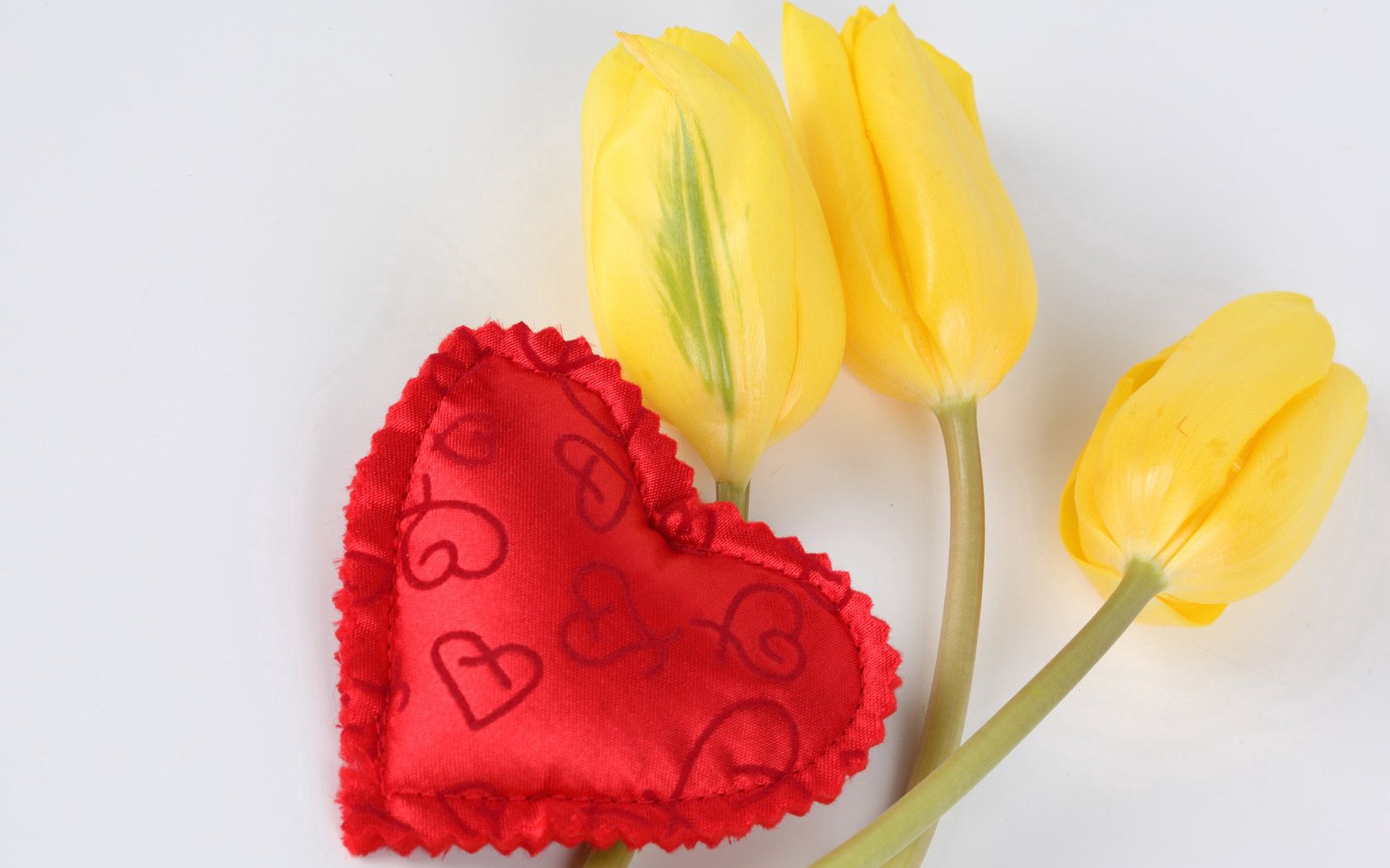 Laden Sie das Liebe, Tulip, Herzen, Ein Herz, Tulpe-Bild kostenlos auf Ihren PC-Desktop herunter