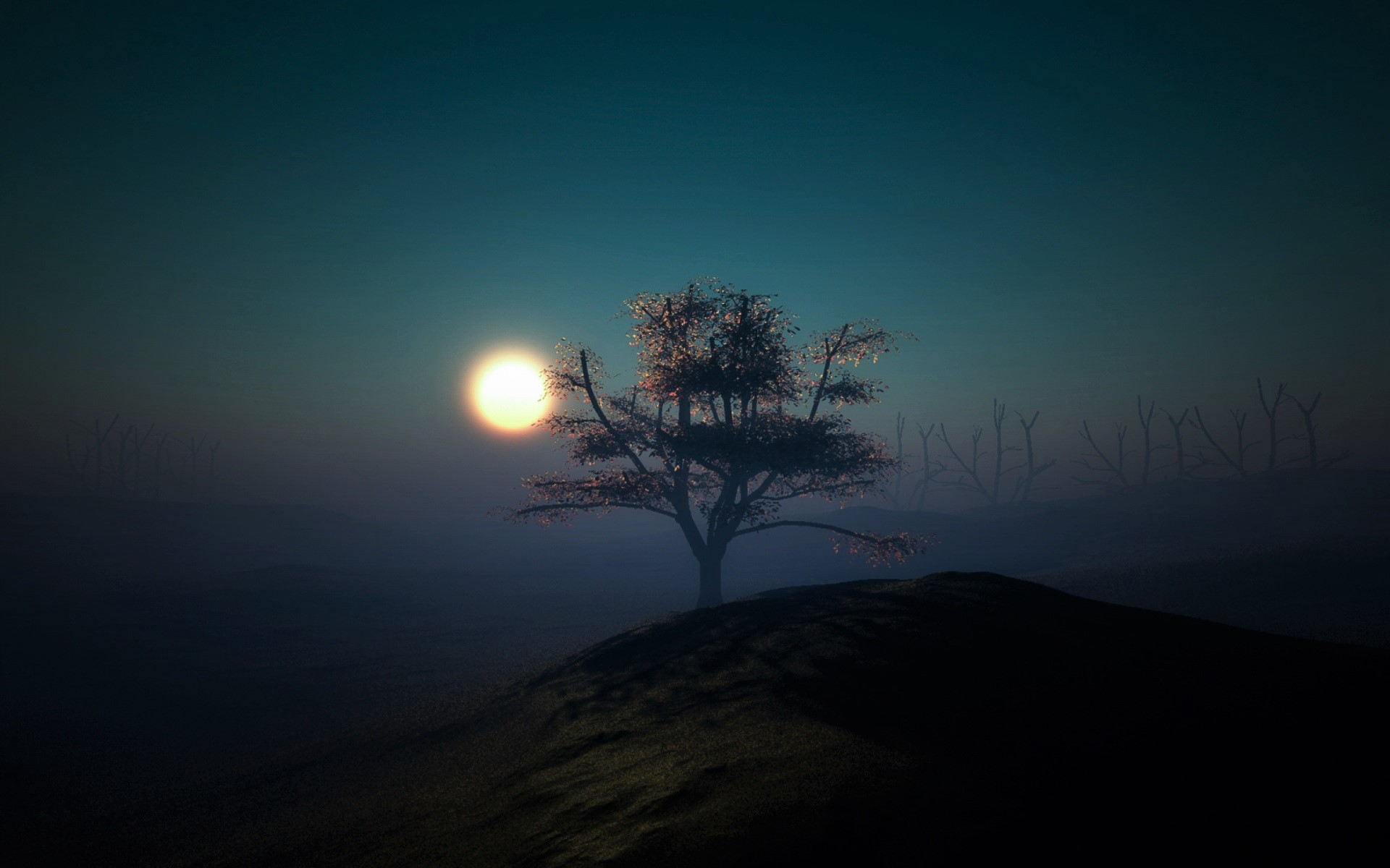 Одинокое дерево ночью