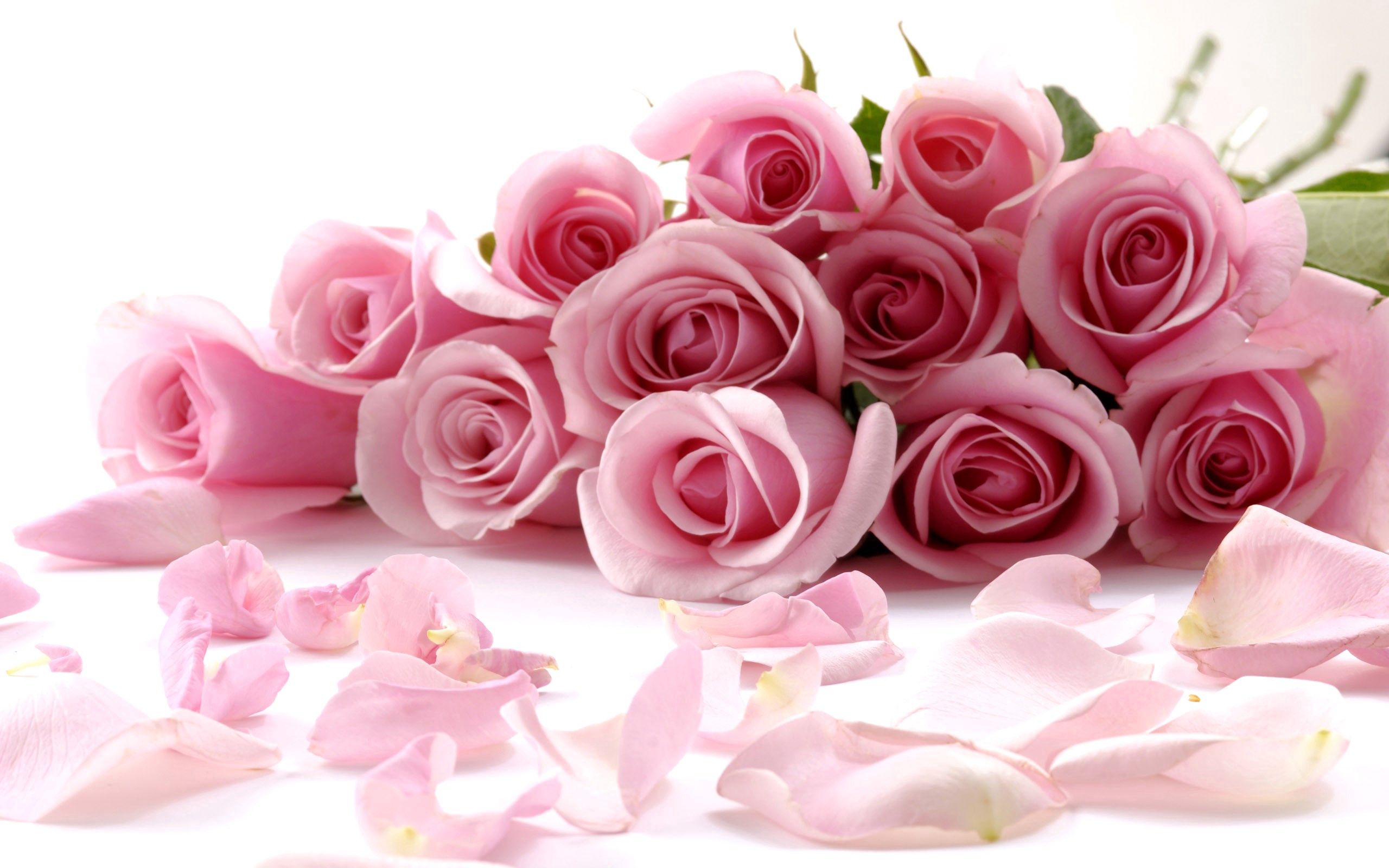 Download mobile wallpaper Miscellanea, Miscellaneous, Petals, Bouquet, Roses for free.