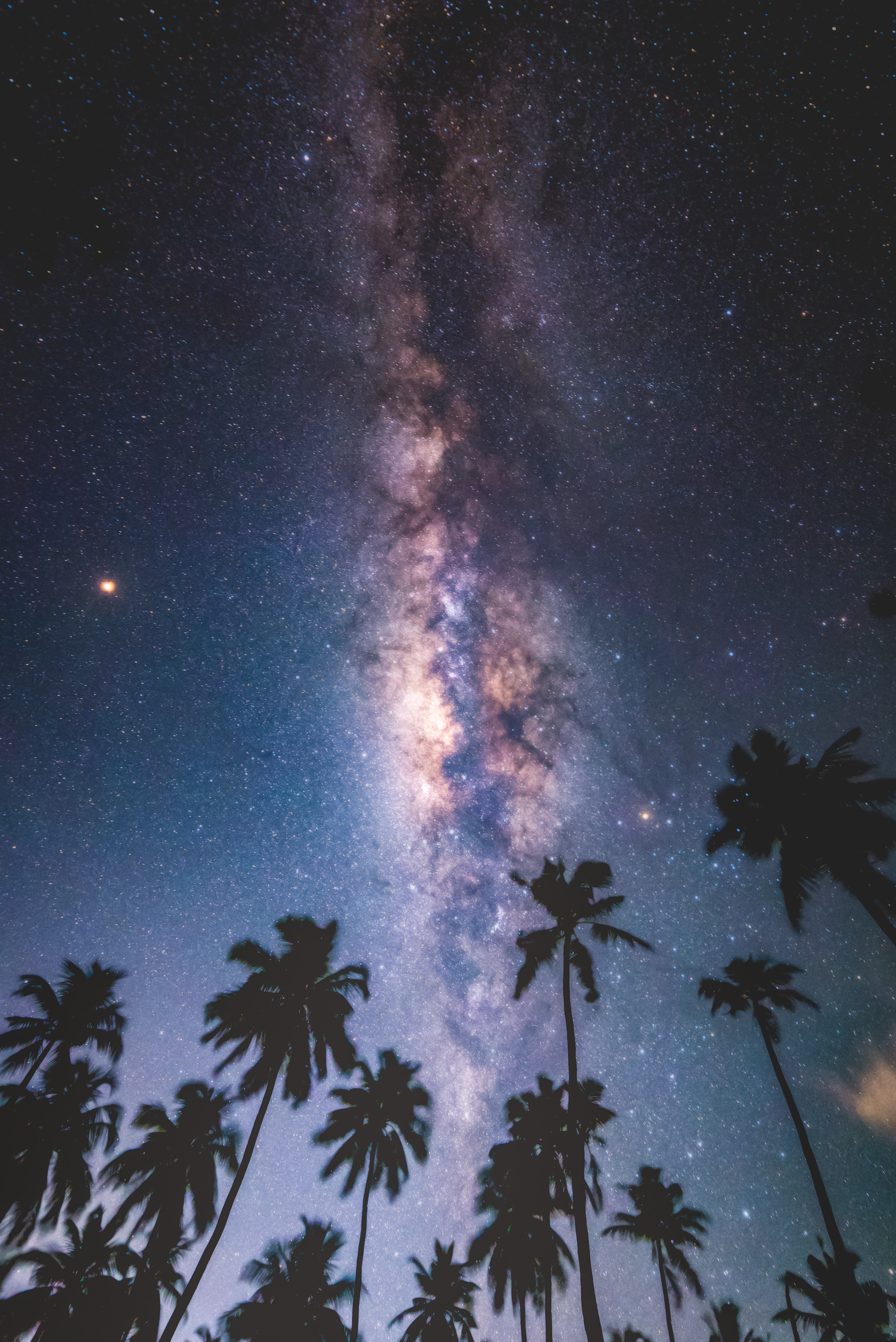 milky way, maldives, nature, stars, night, palms, starry sky